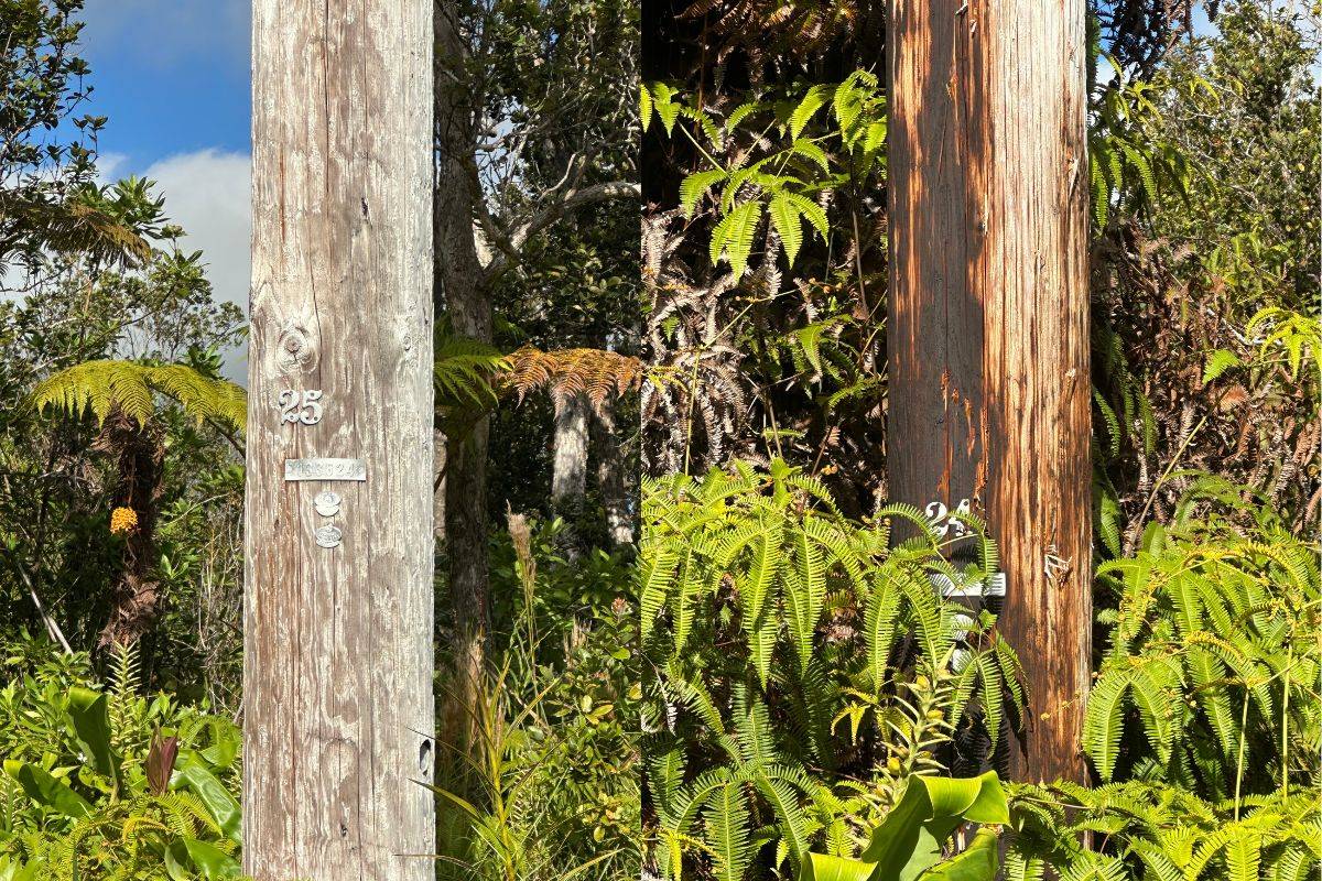 Volcano, HI 96785,MOKUNA ST