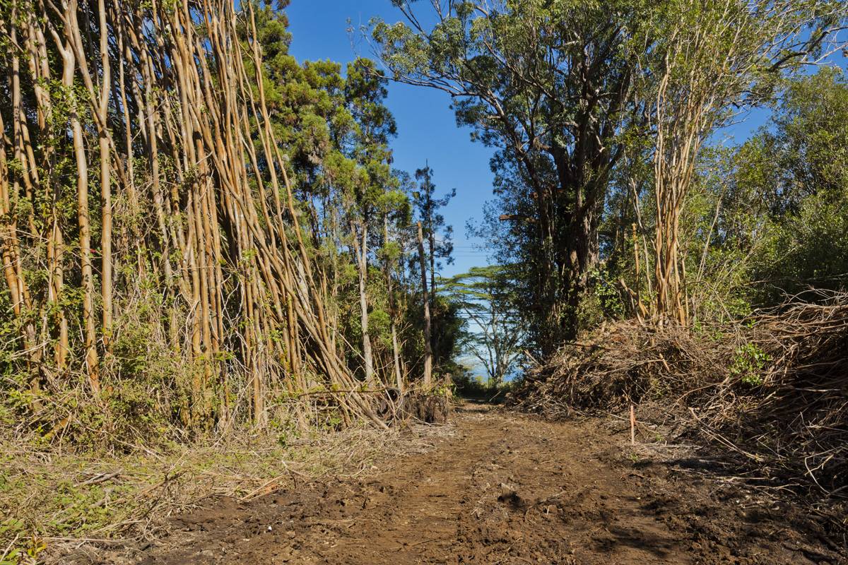 Volcano, HI 96785,PECK RD