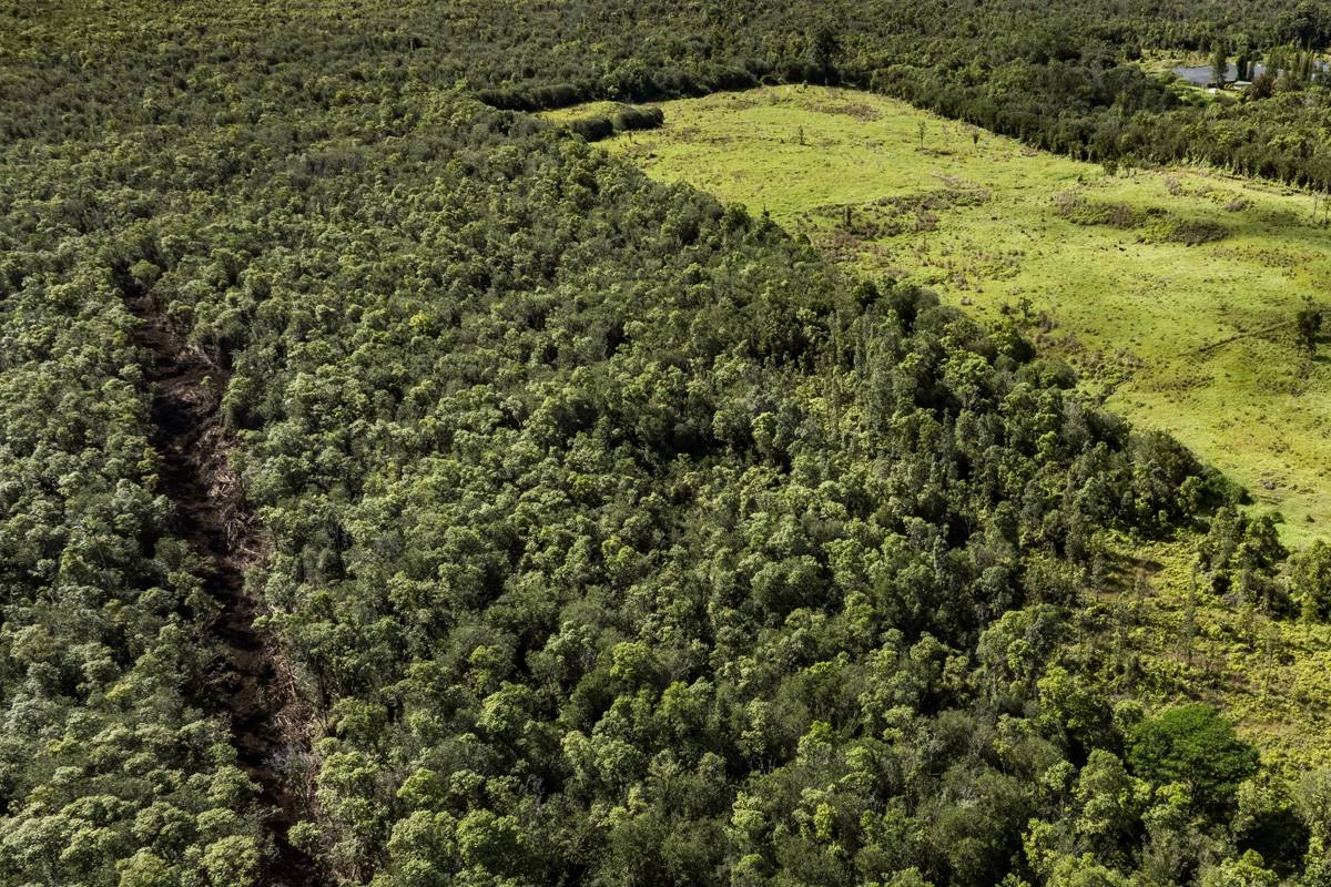 Volcano, HI 96785,PECK RD