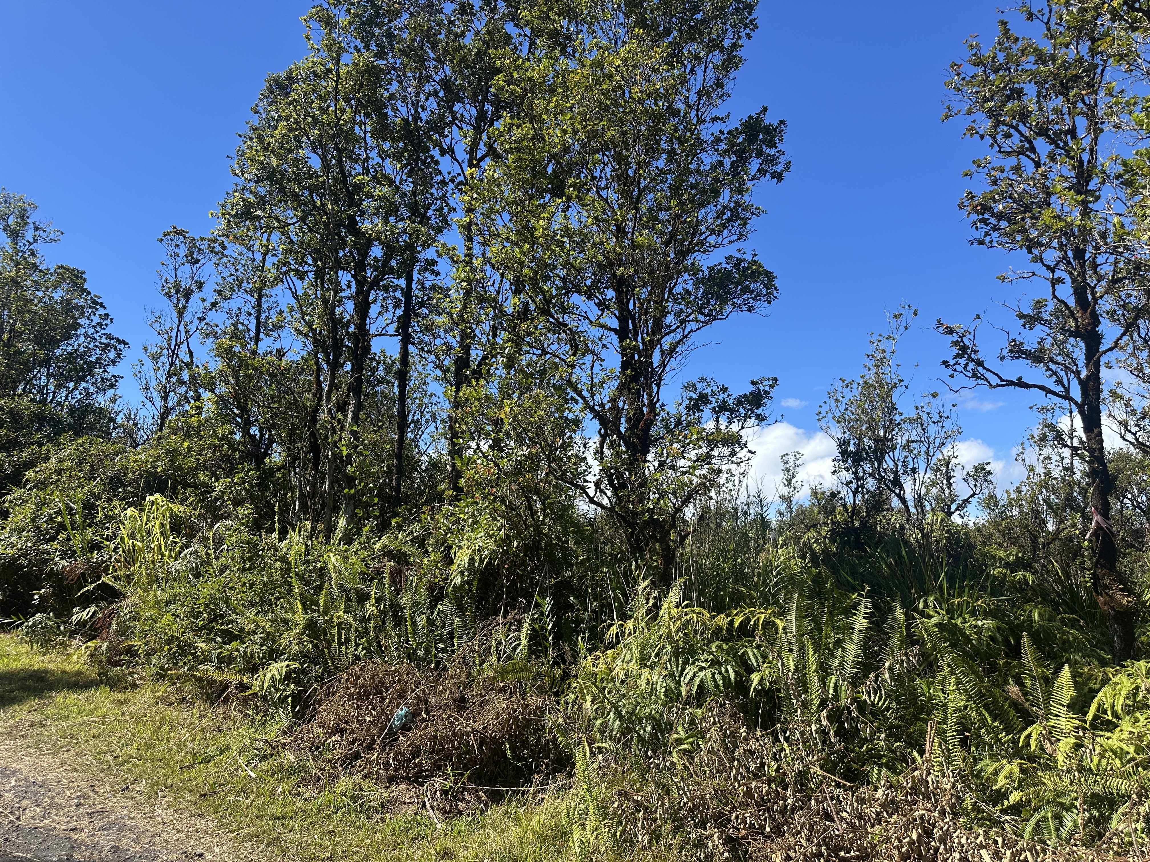 Mountain View, HI 96771,WAILELE ST