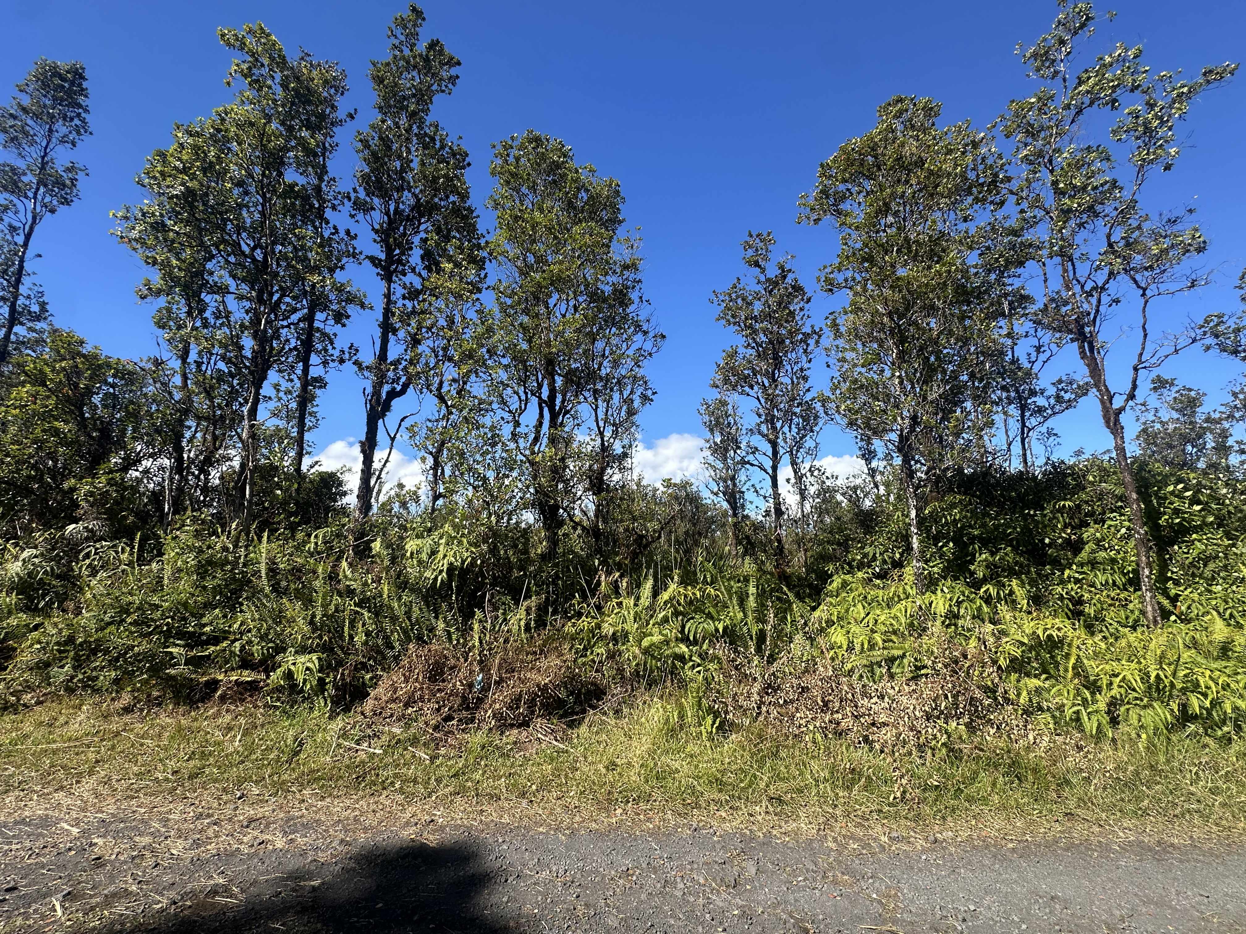 Mountain View, HI 96771,WAILELE ST