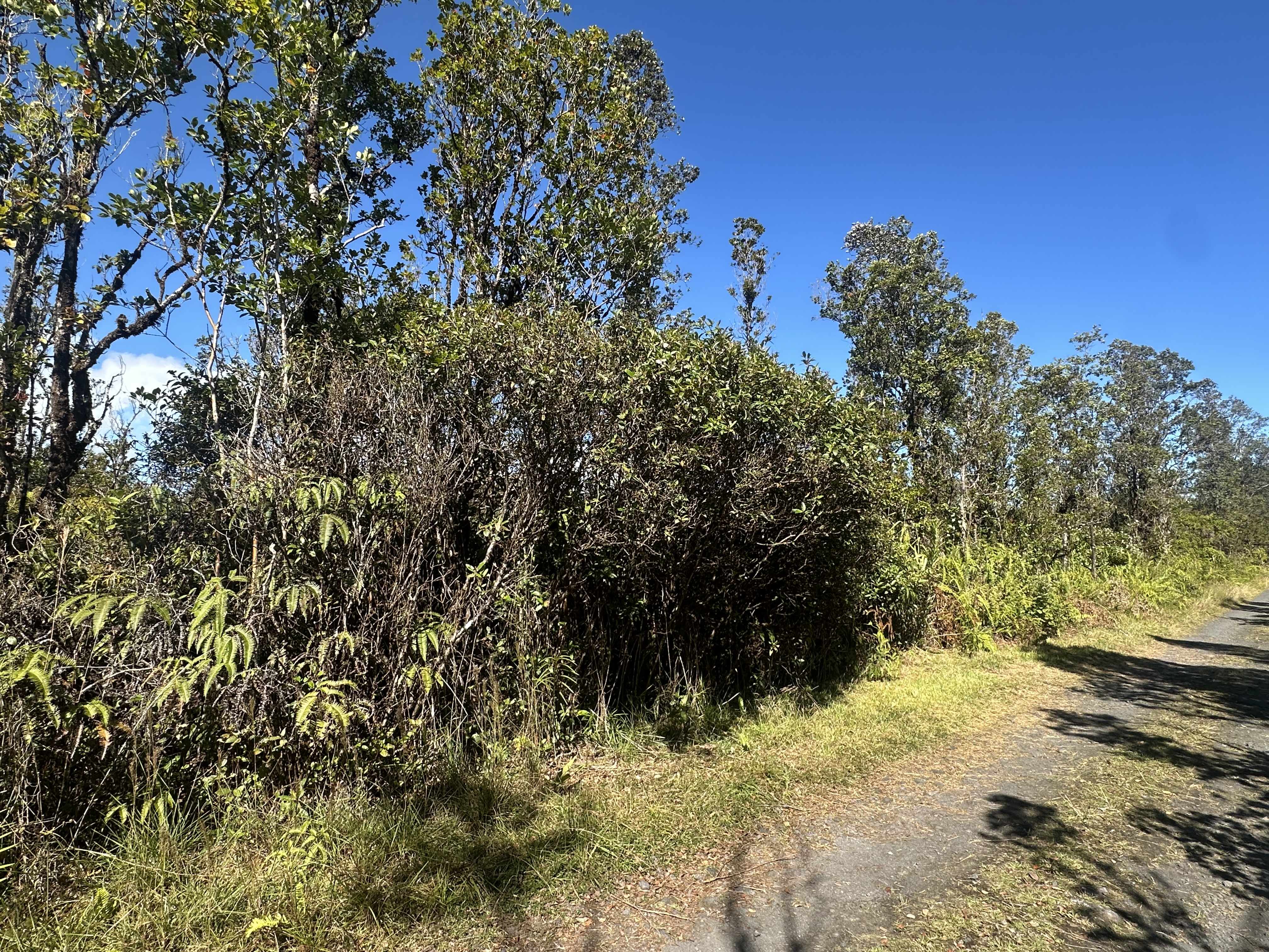 Mountain View, HI 96771,WAILELE ST