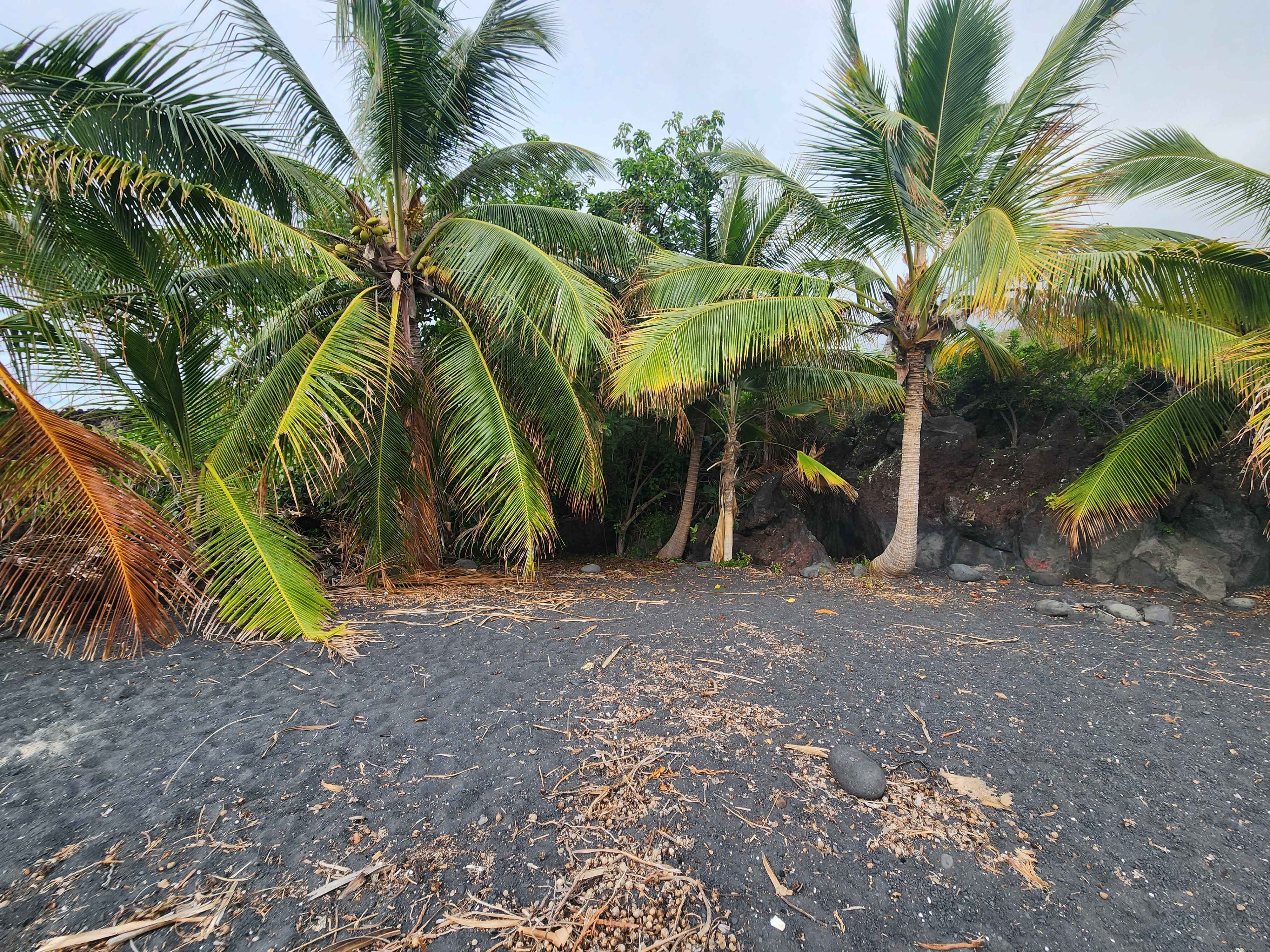 Captain Cook, HI 96704,MAMALAHOA HWY