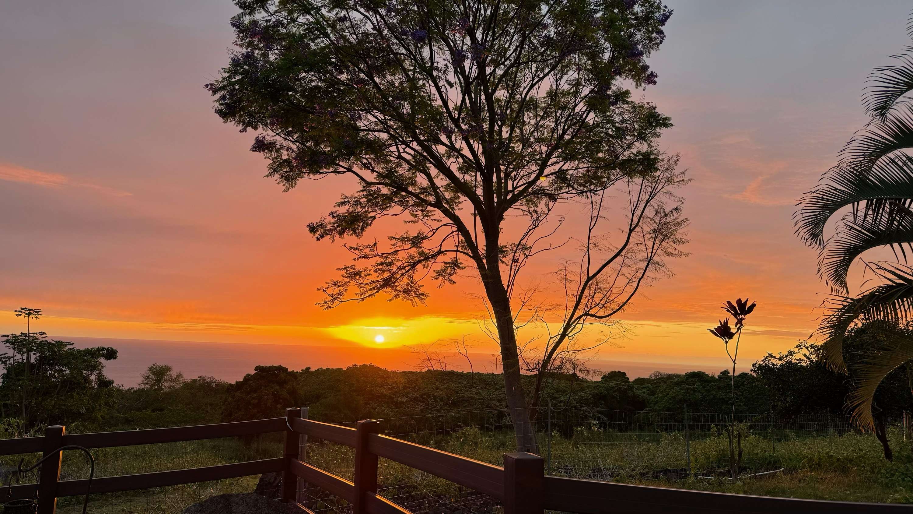 Captain Cook, HI 96704,85-5122 KIILAE RD