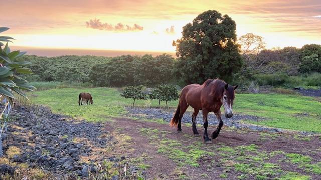 Captain Cook, HI 96704,85-5122 KIILAE RD