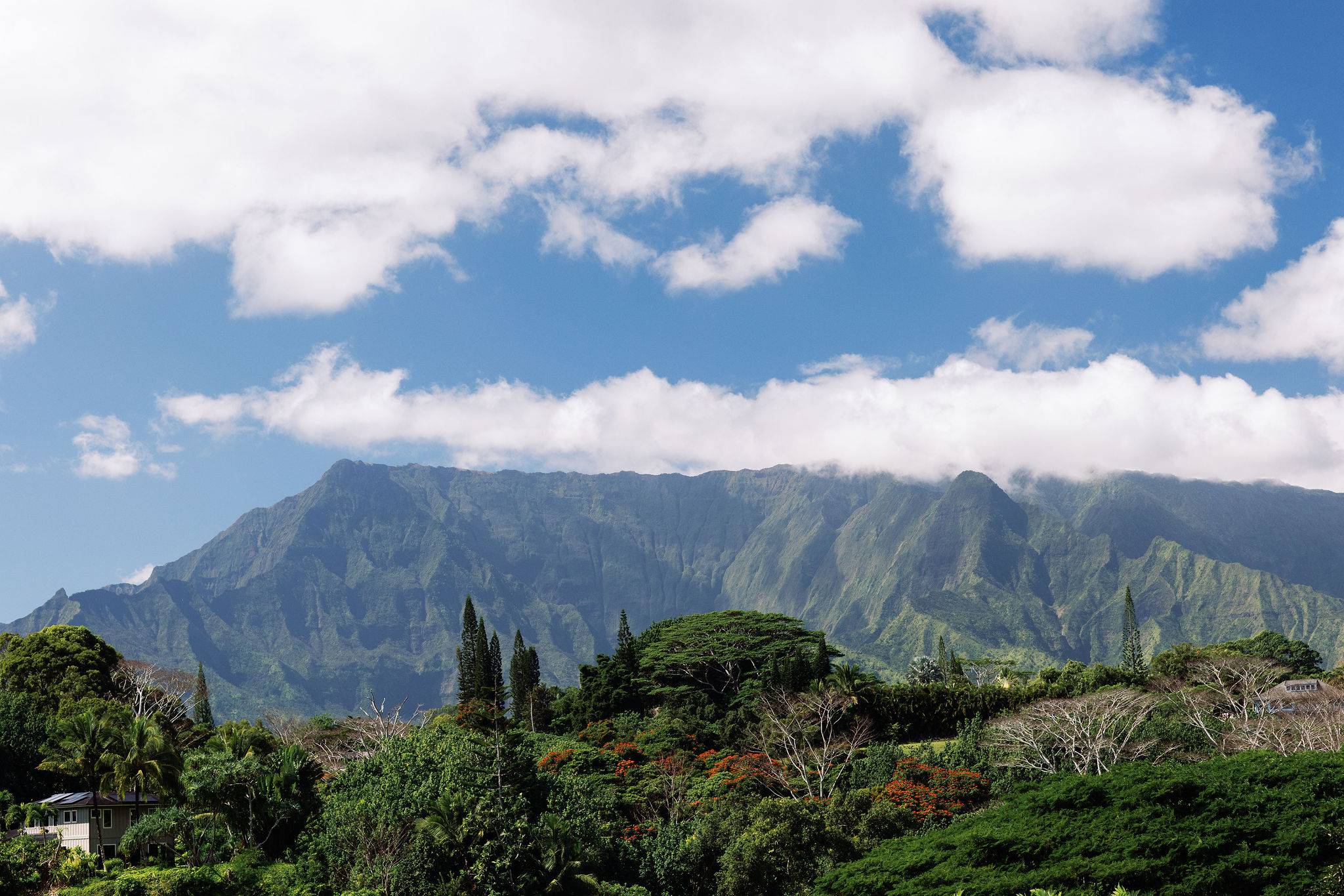 Kapaa, HI 96746,6546-D KUAMOO RD #3