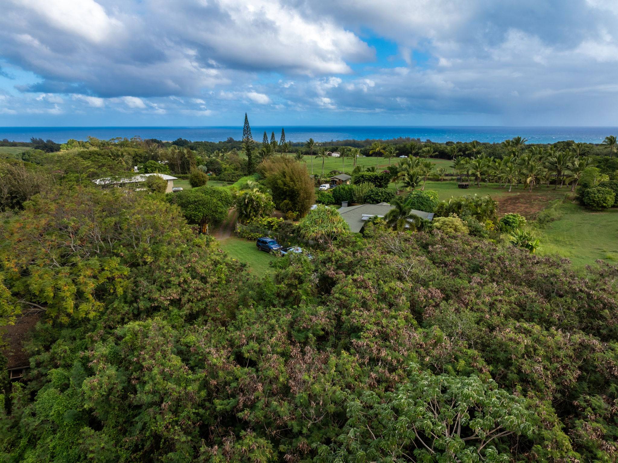 Kilauea, HI 96754,7549-A KOOLAU RD
