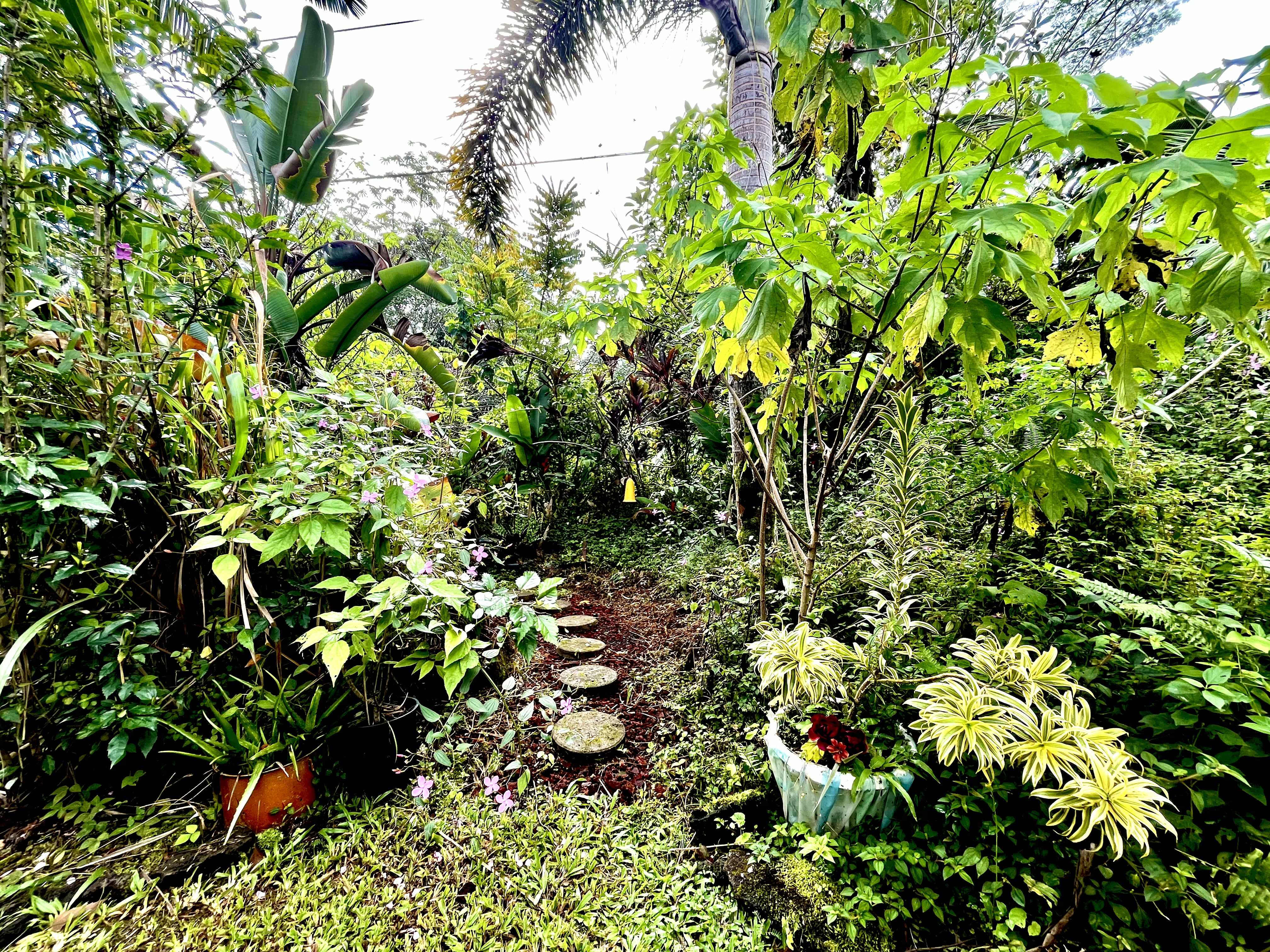 Pahoa, HI 96778,14-3473 MAUNA KEA RD