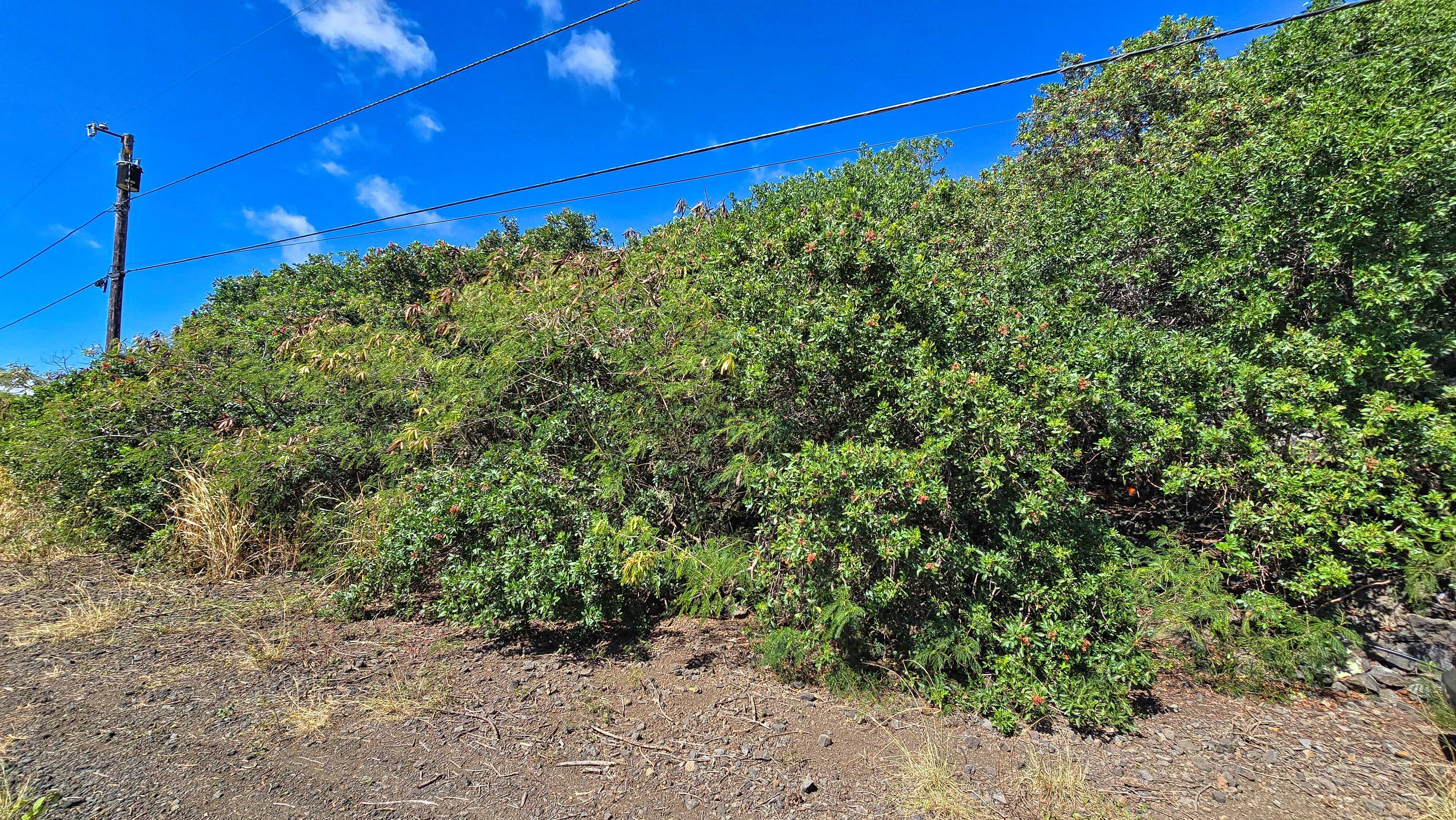 Naalehu, HI 96772,PELE ST