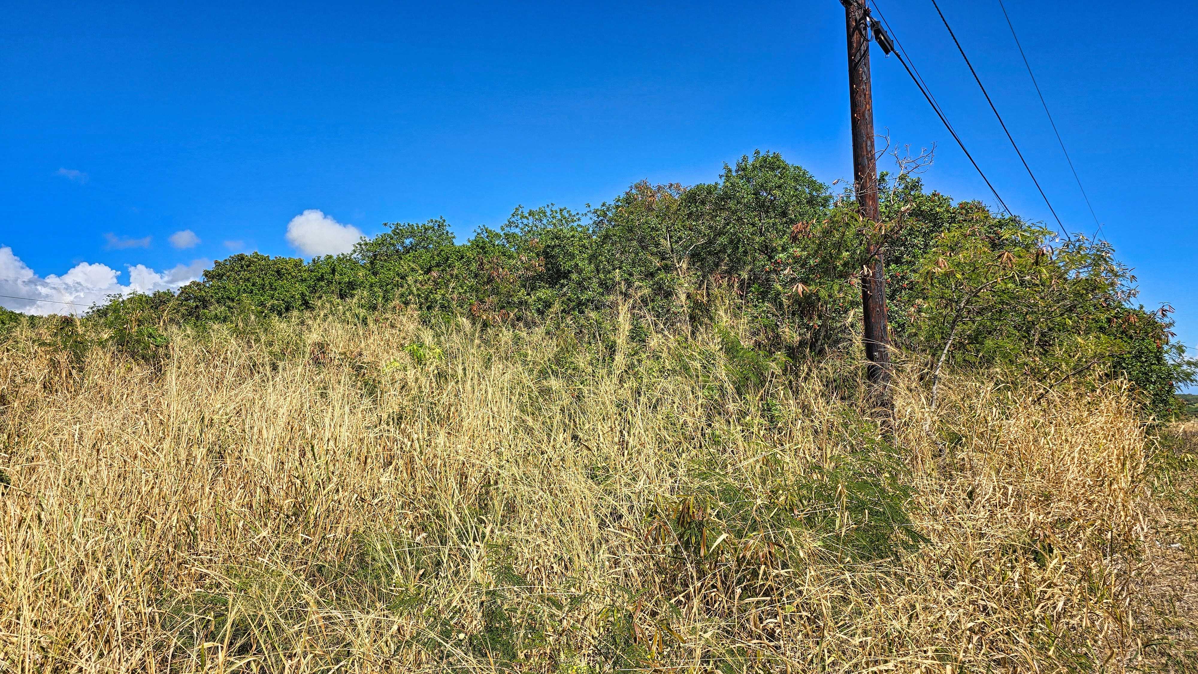 Naalehu, HI 96772,PELE ST