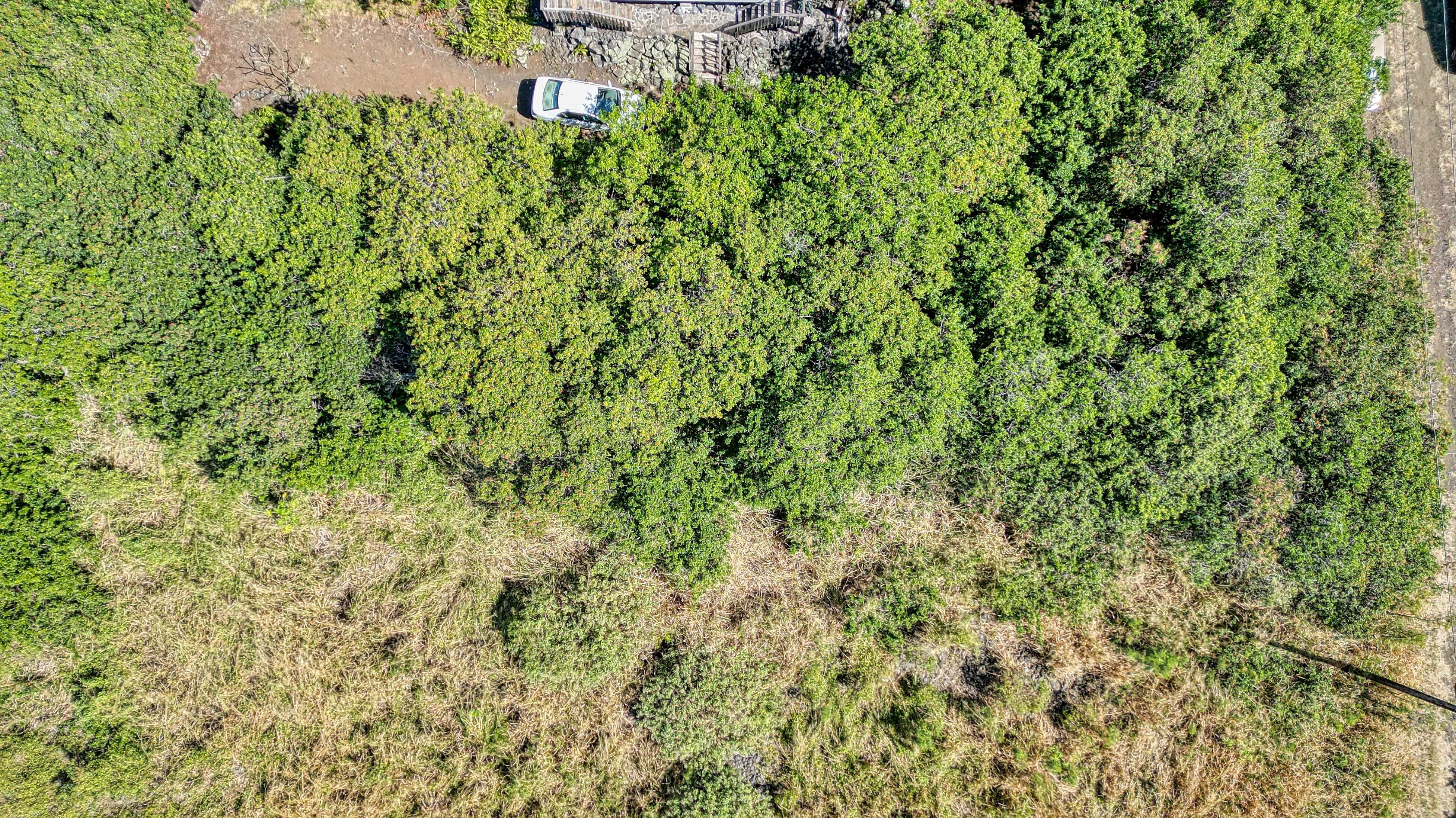 Naalehu, HI 96772,PELE ST