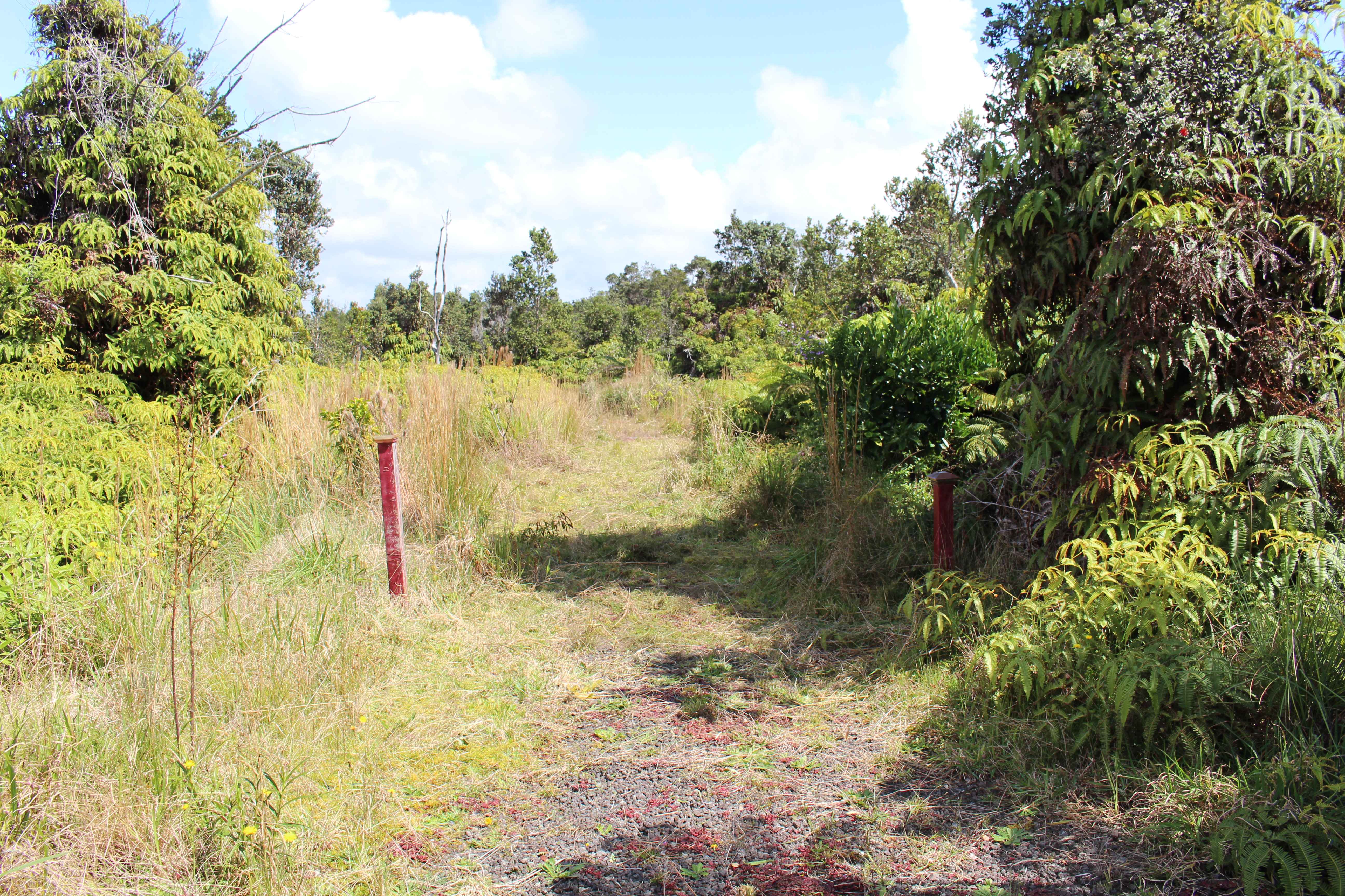 Volcano, HI 96785,NAHELENANI ST