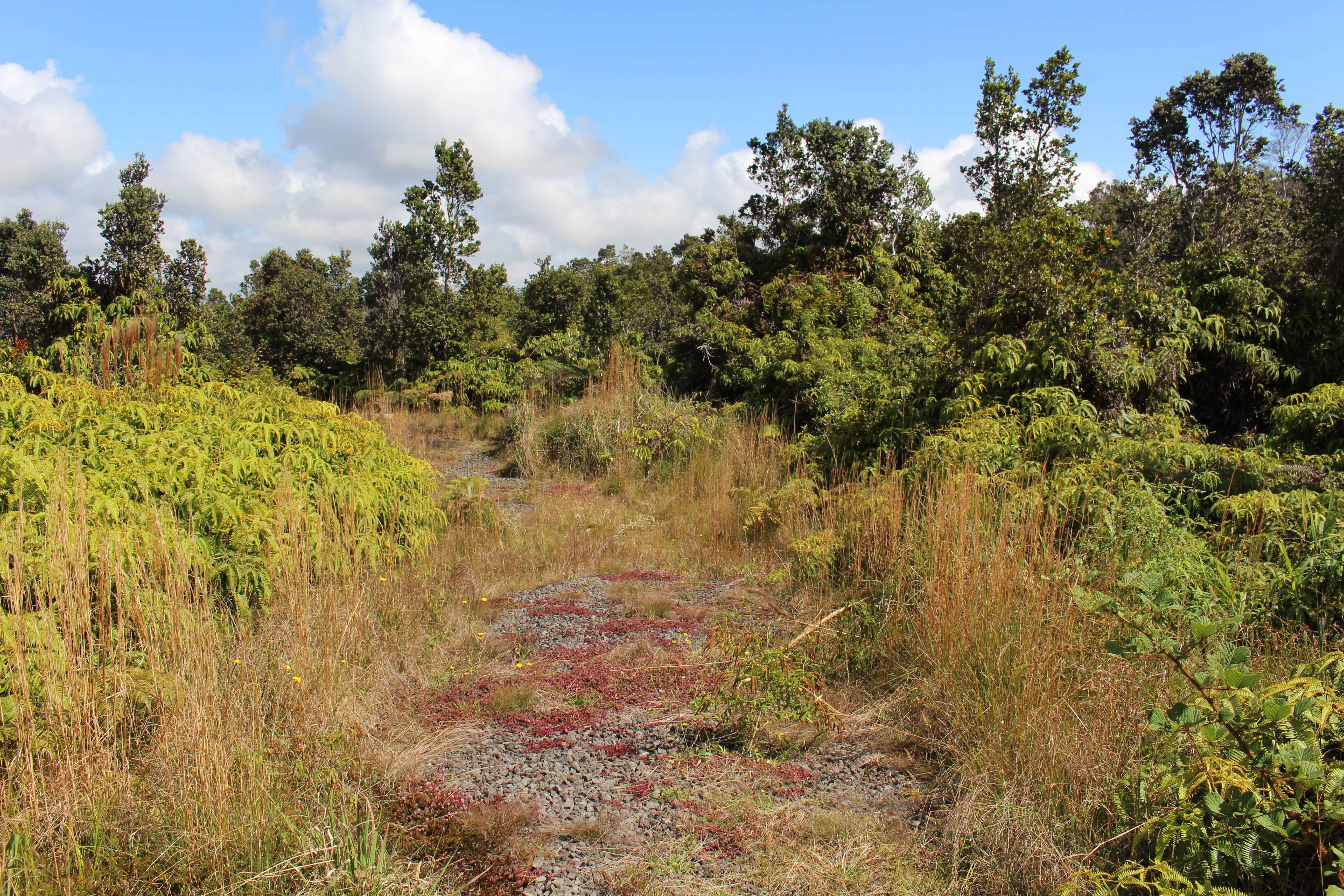 Volcano, HI 96785,NAHELENANI ST