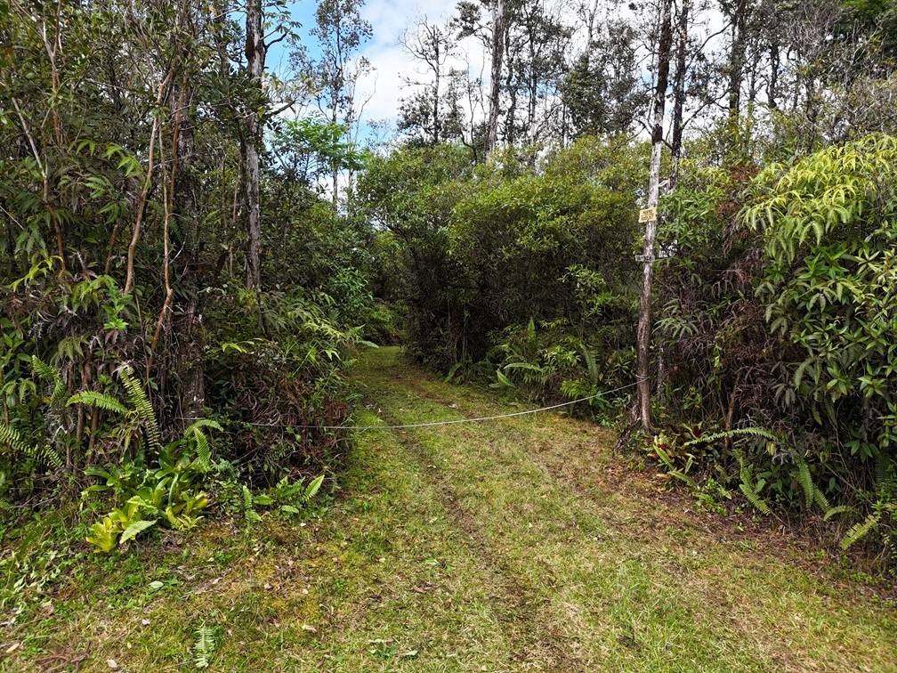 Kurtistown, HI 96760,16-326 KIELE ST