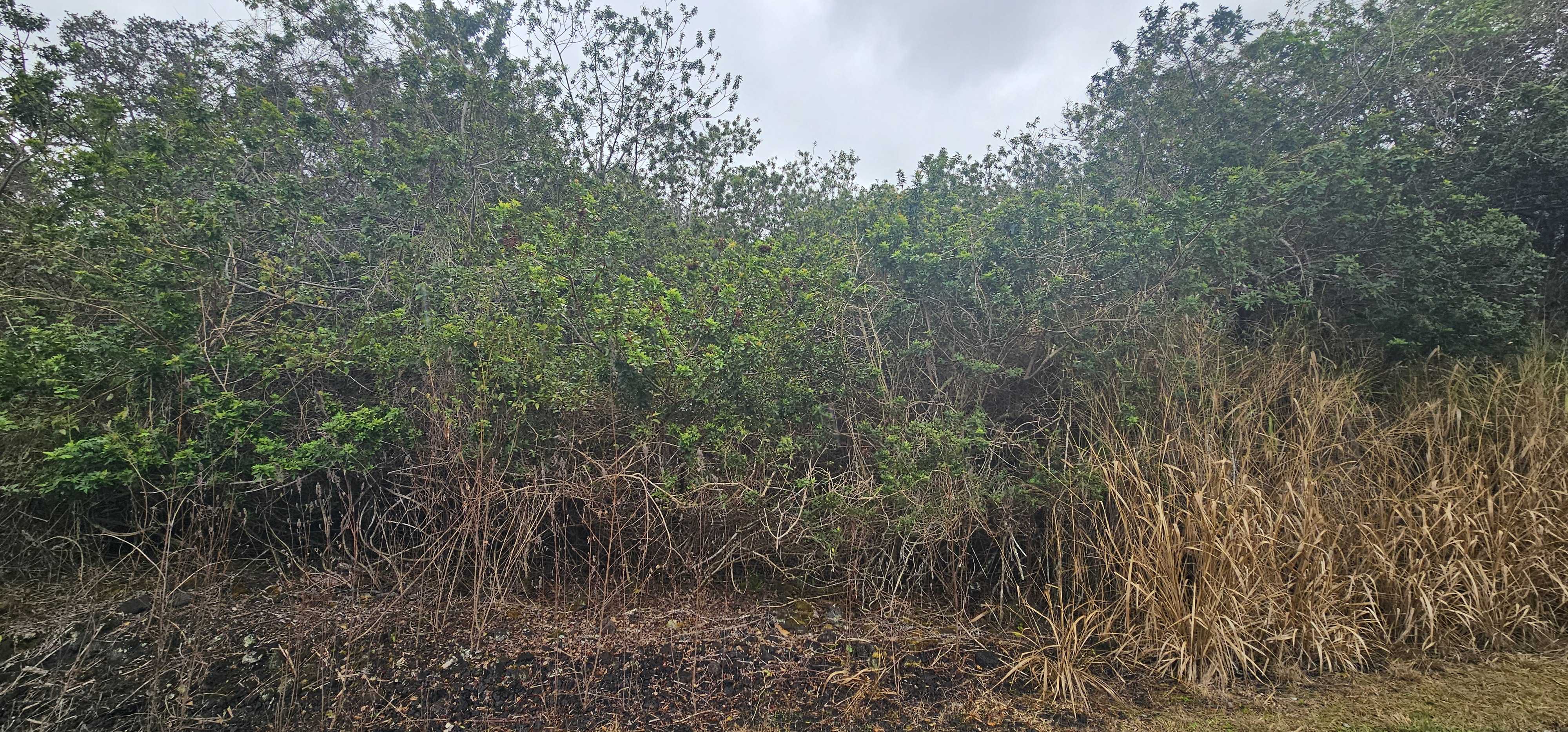 89-1250 OLD MAMALAHOA HIGHWAY, Captain Cook, HI 96704