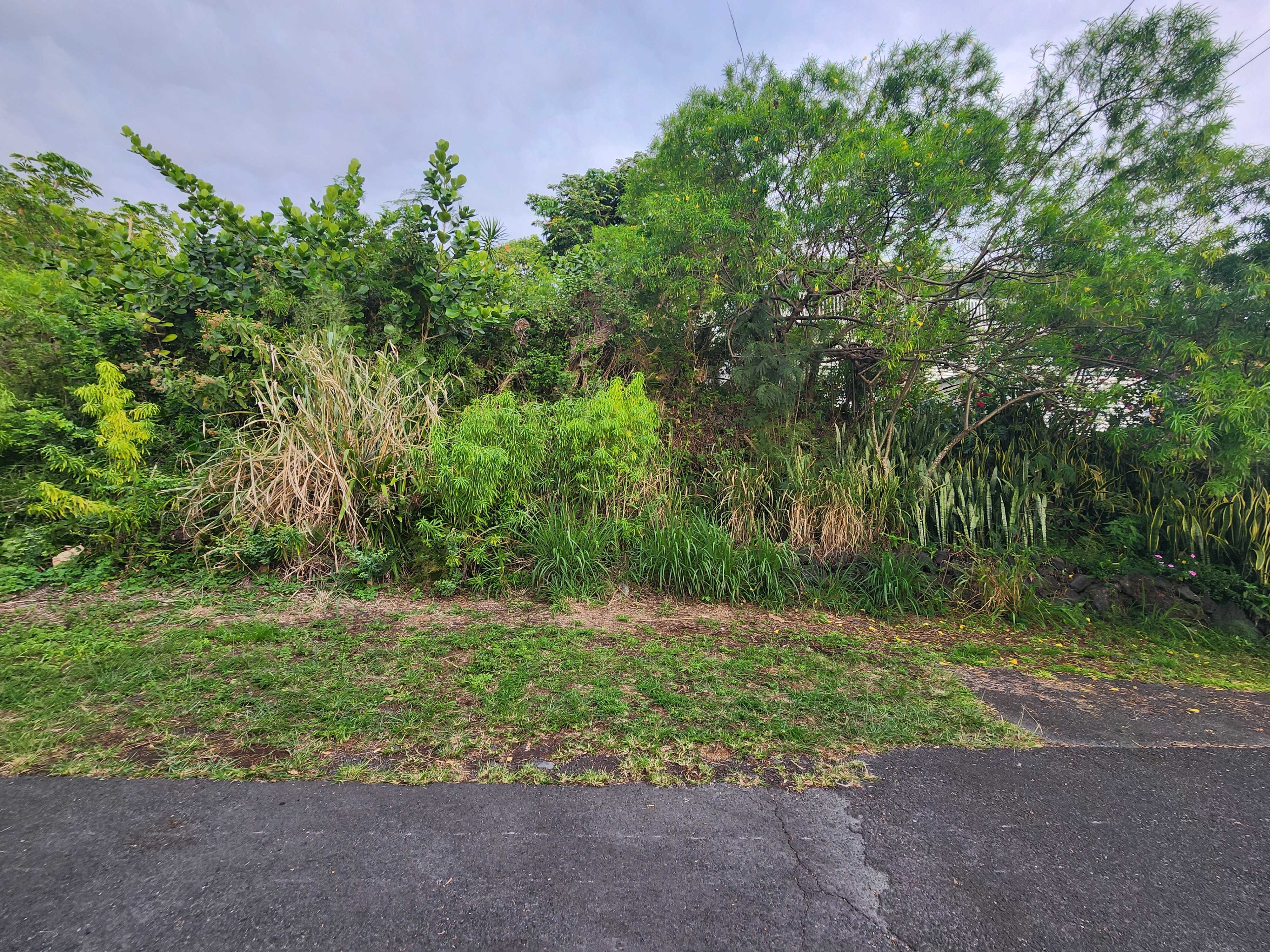 Captain Cook, HI 96704,DATURA RD