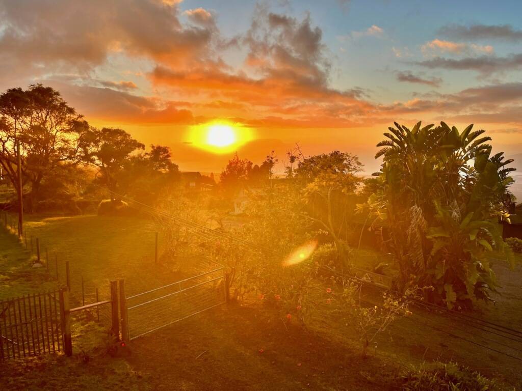 Kula, HI 96790,499 KOLOHALA DR
