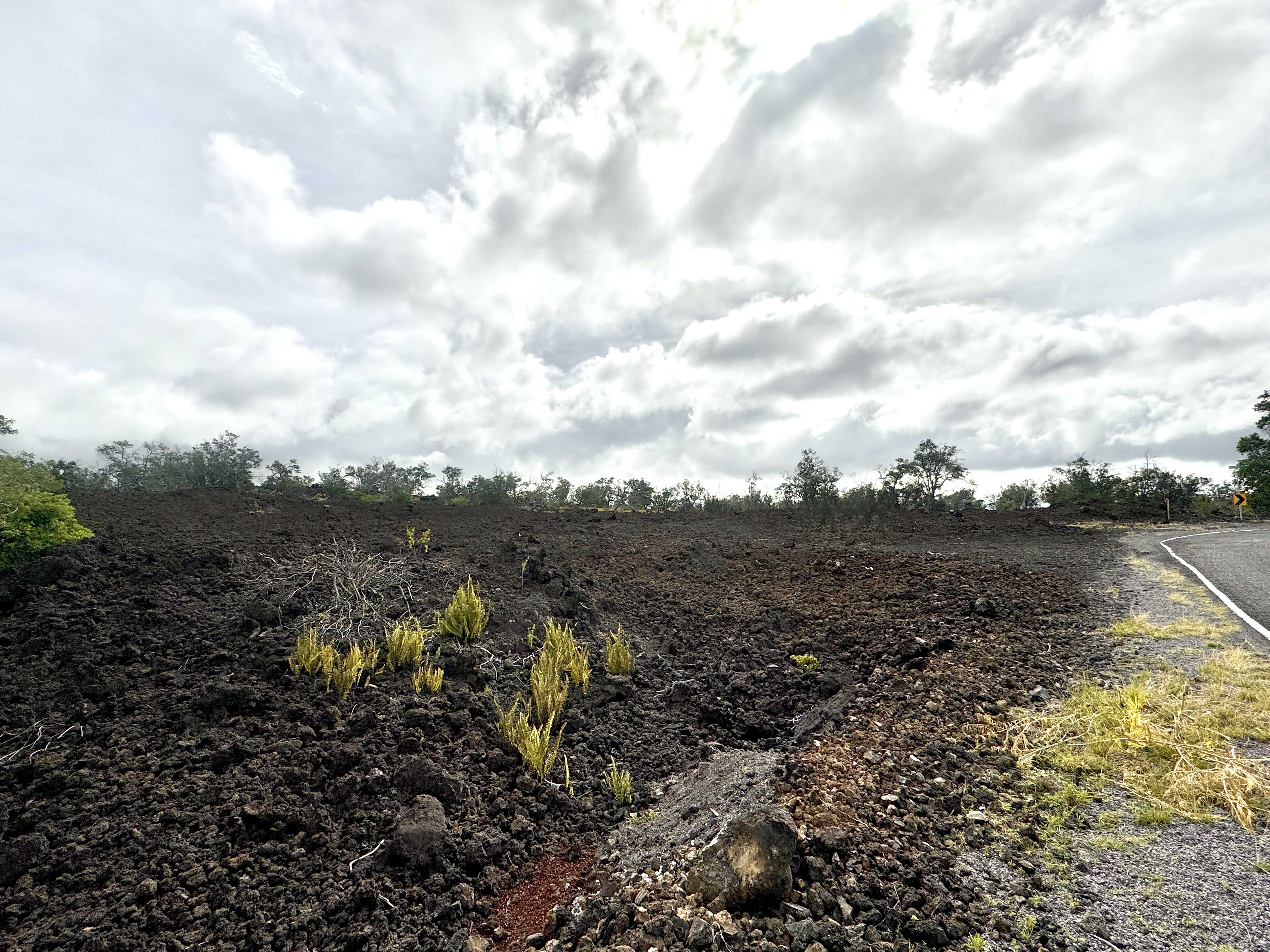 Ocean View, HI 96737,CATAMARAN LN