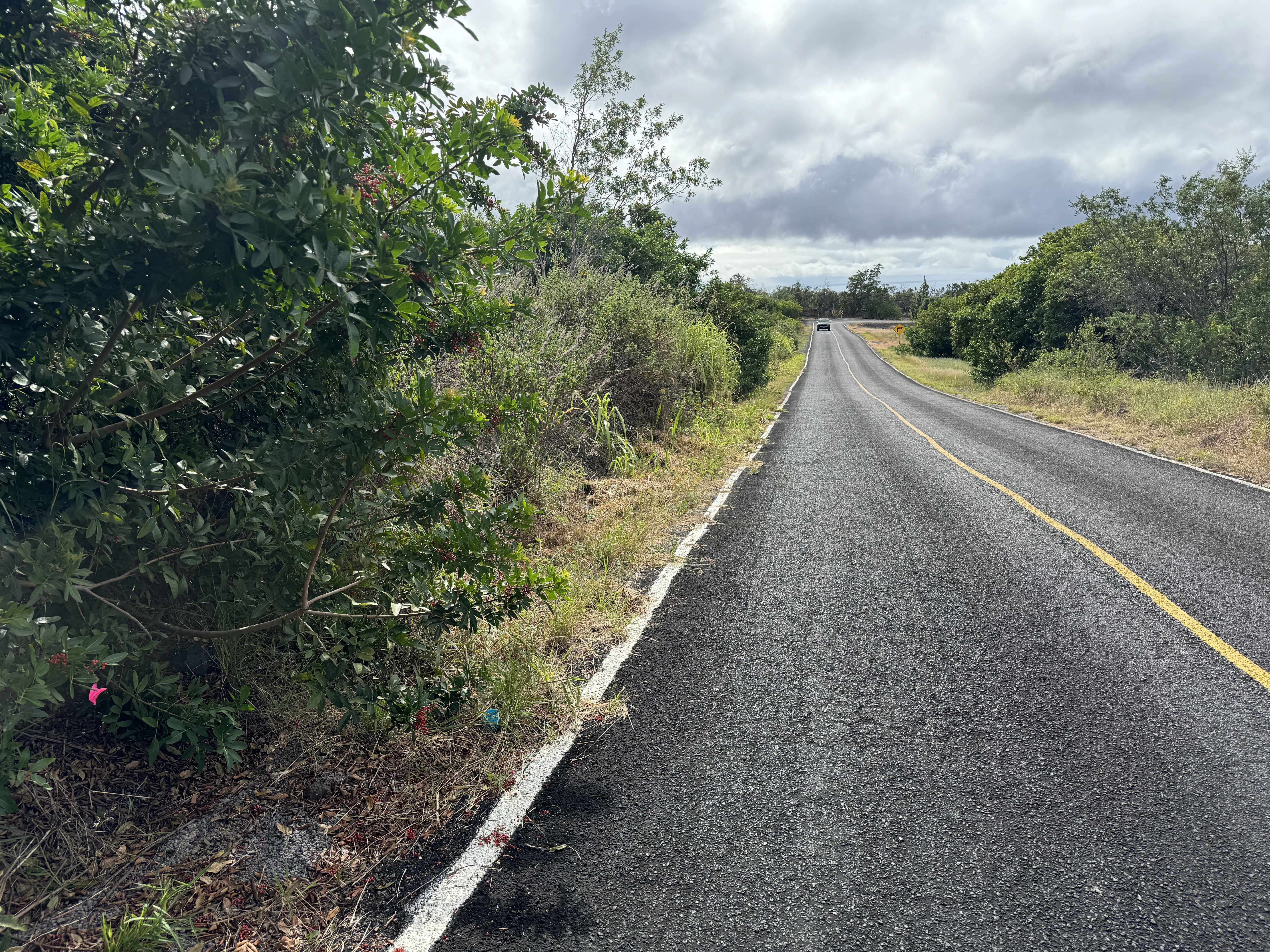 Ocean View, HI 96737,CATAMARAN LN