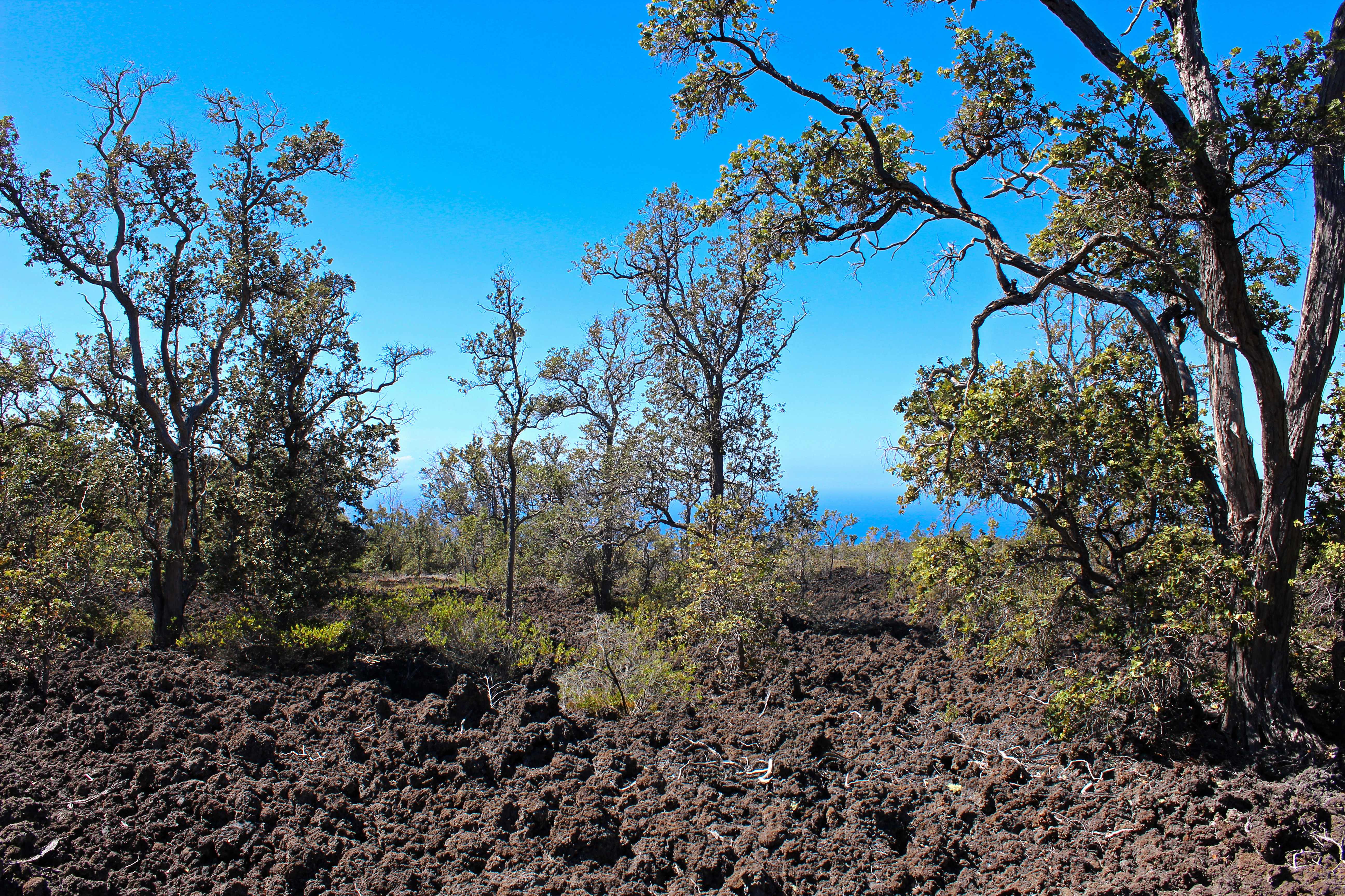 Ocean View, HI 96737,ALOHA BLVD