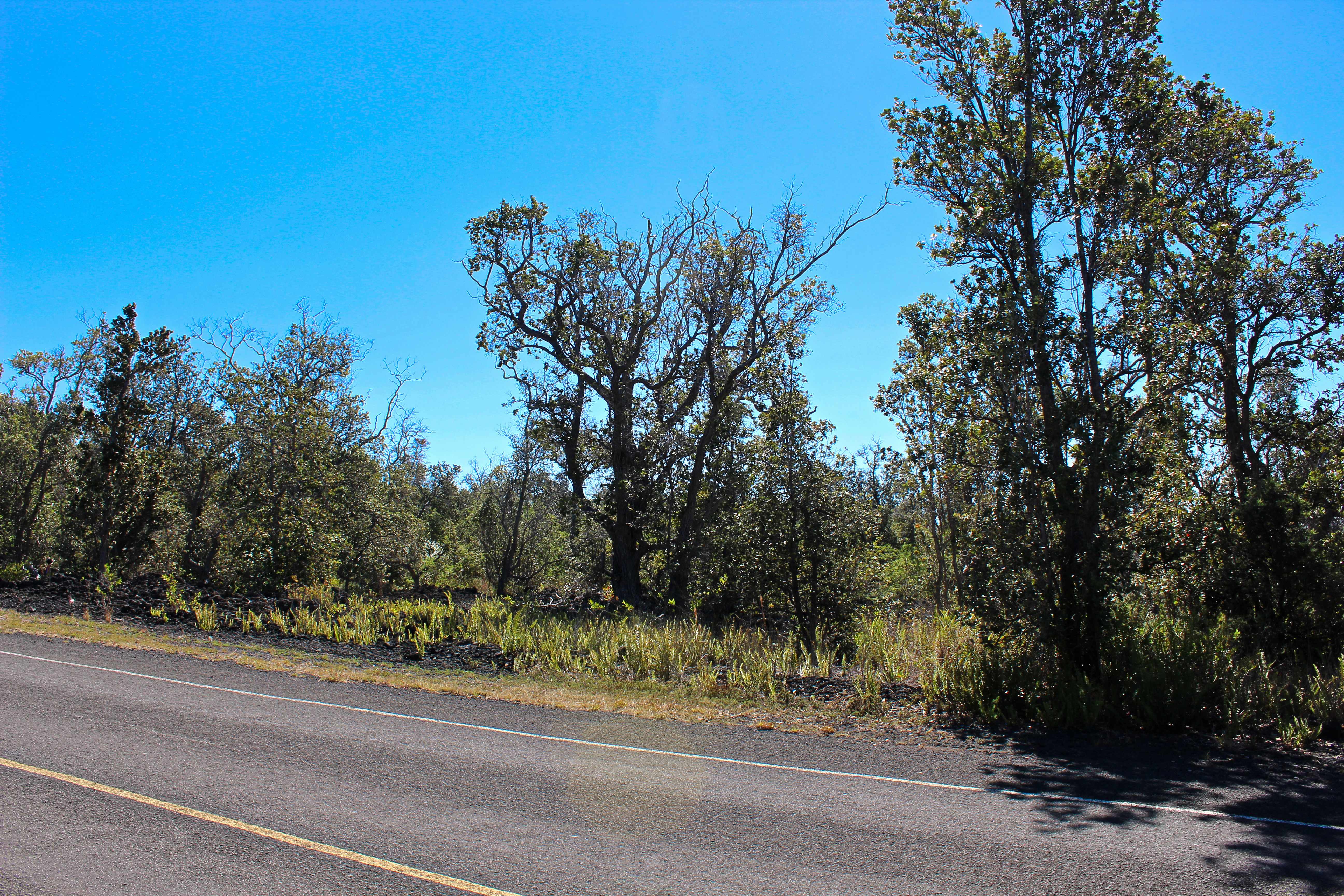 Ocean View, HI 96737,ALOHA BLVD