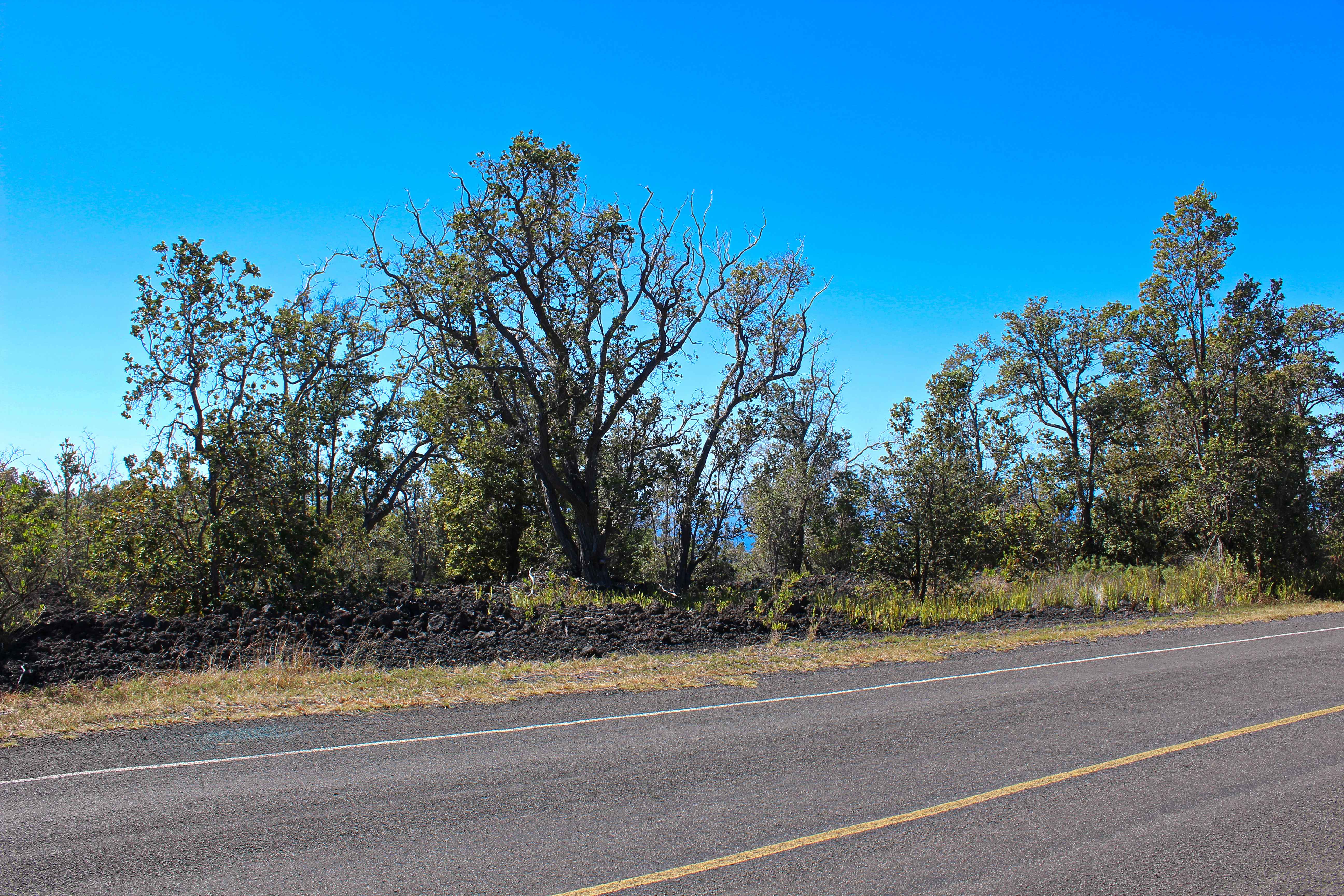 Ocean View, HI 96737,ALOHA BLVD