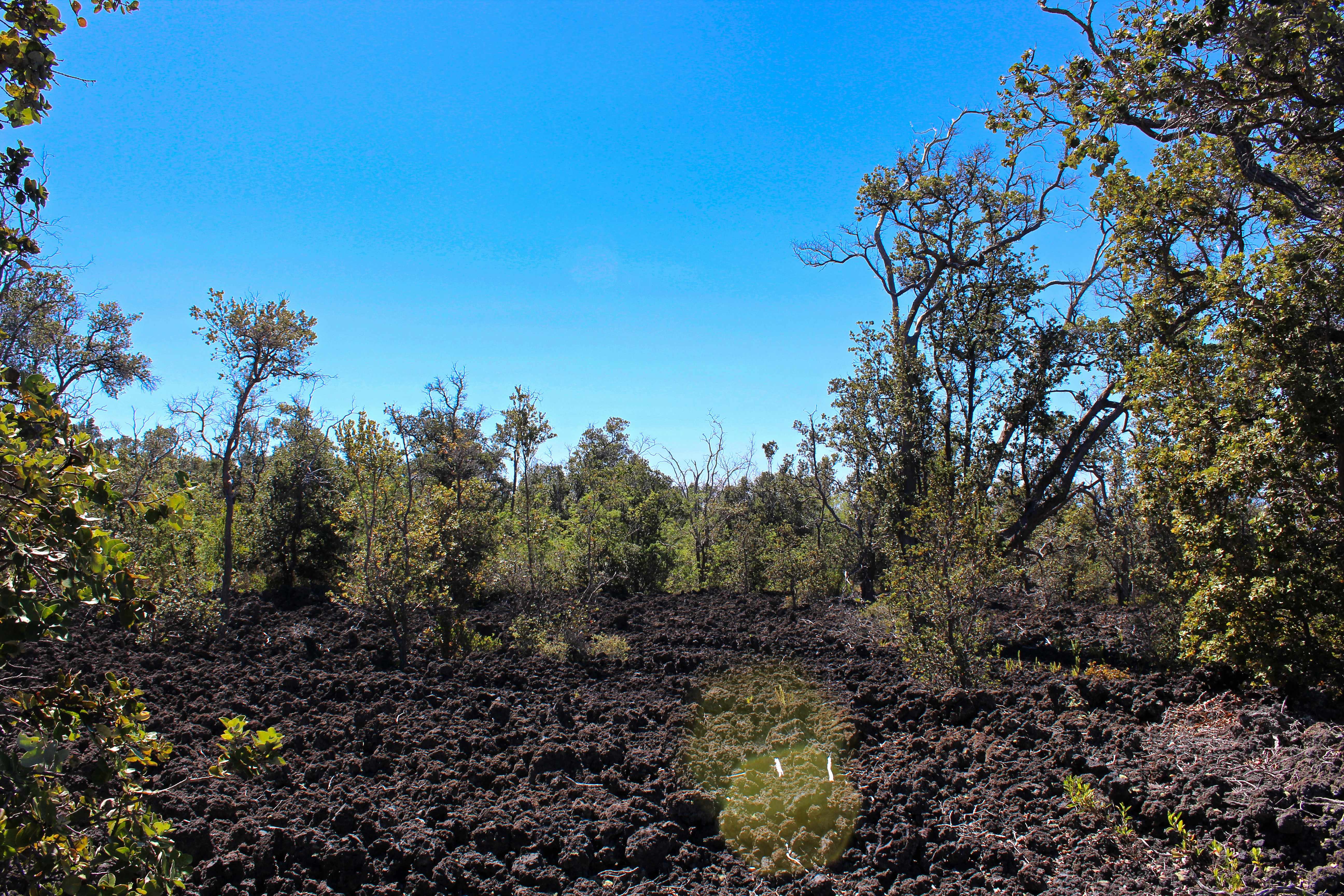 Ocean View, HI 96737,ALOHA BLVD
