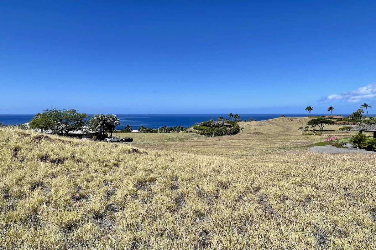 Kamuela, HI 96743,59-120 HONUKAI PL