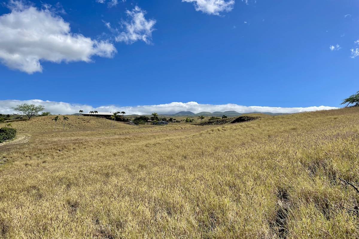 Kamuela, HI 96743,59-120 HONUKAI PL