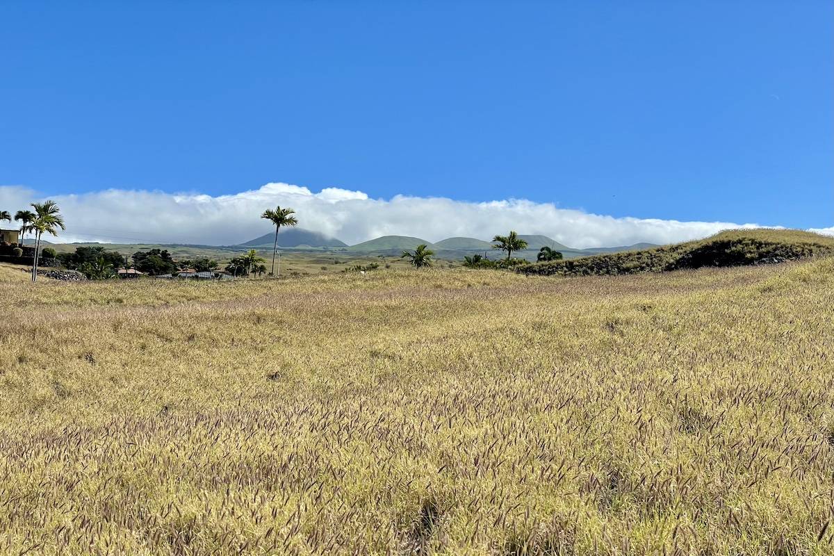 Kamuela, HI 96743,59-120 HONUKAI PL