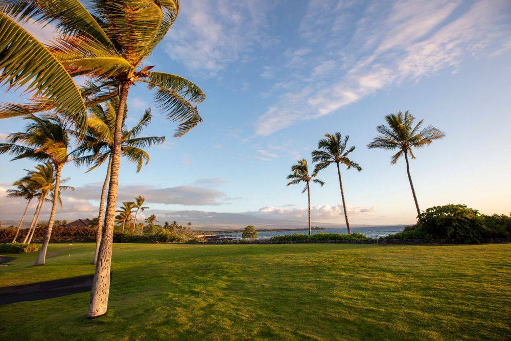 Waikoloa, HI 96738,NAUPAKA KAI PL