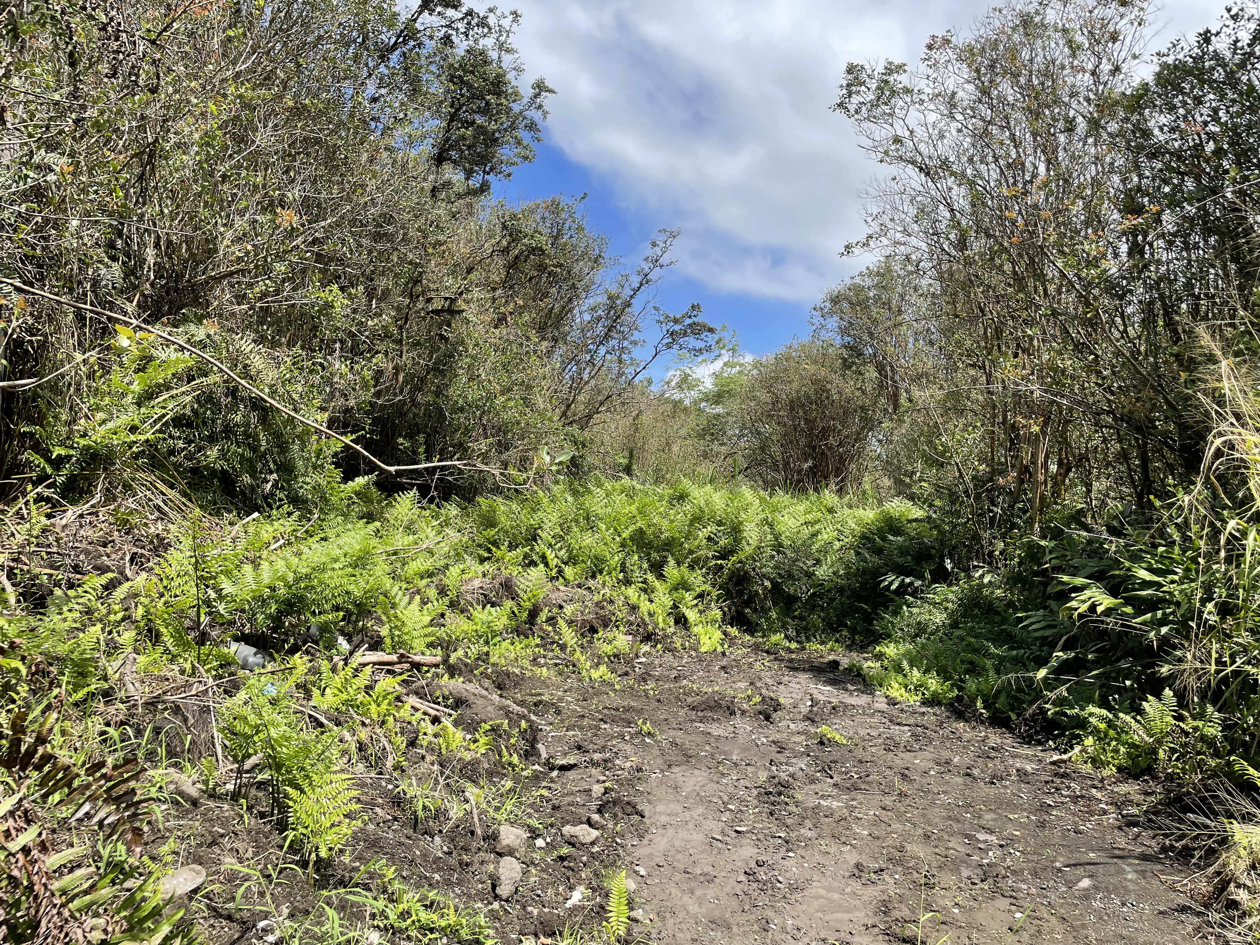 Mountain View, HI 96760,16-1153-A UHINI ANA RD