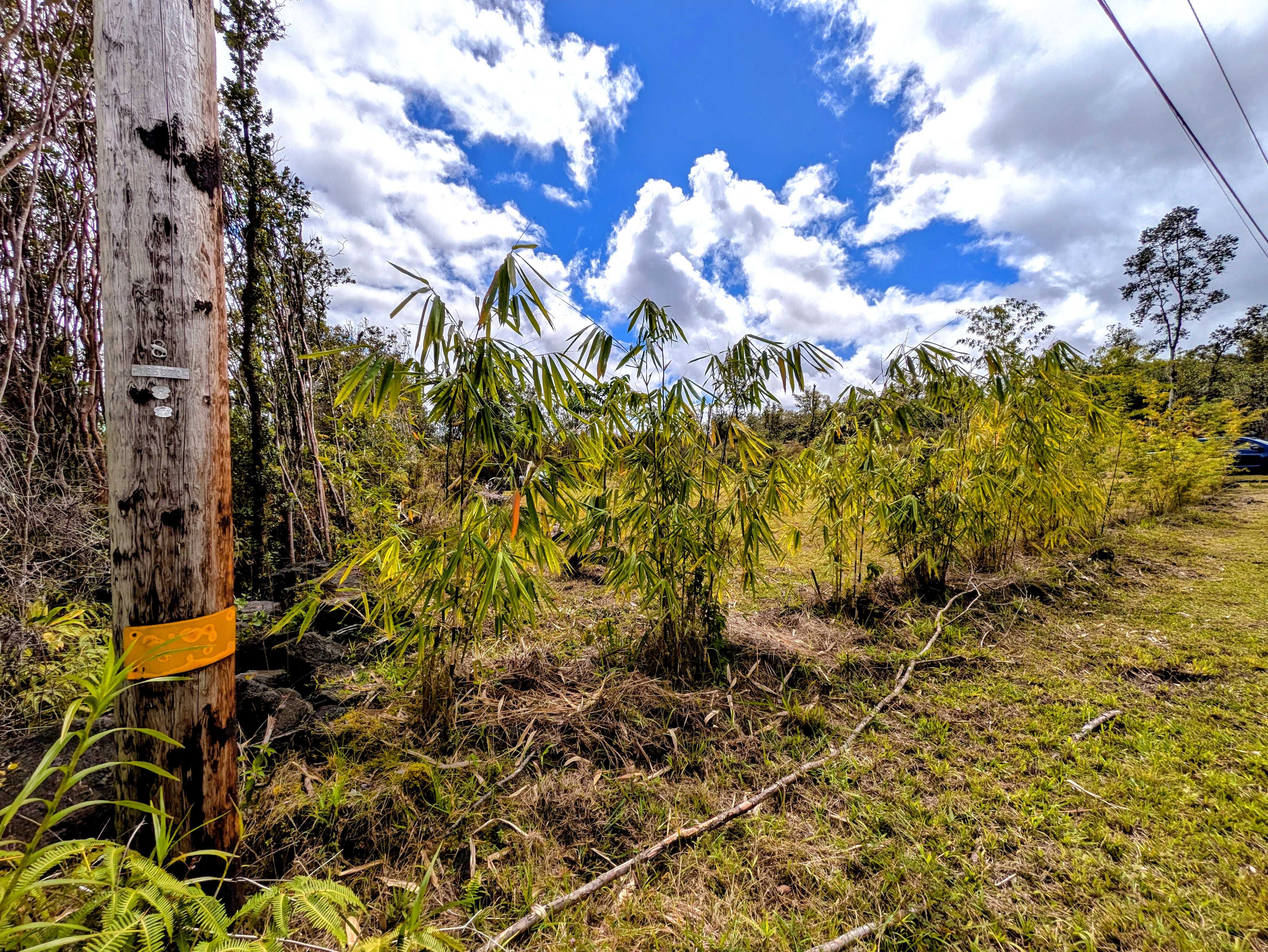 Mountain View, HI 96771,ULEI ST