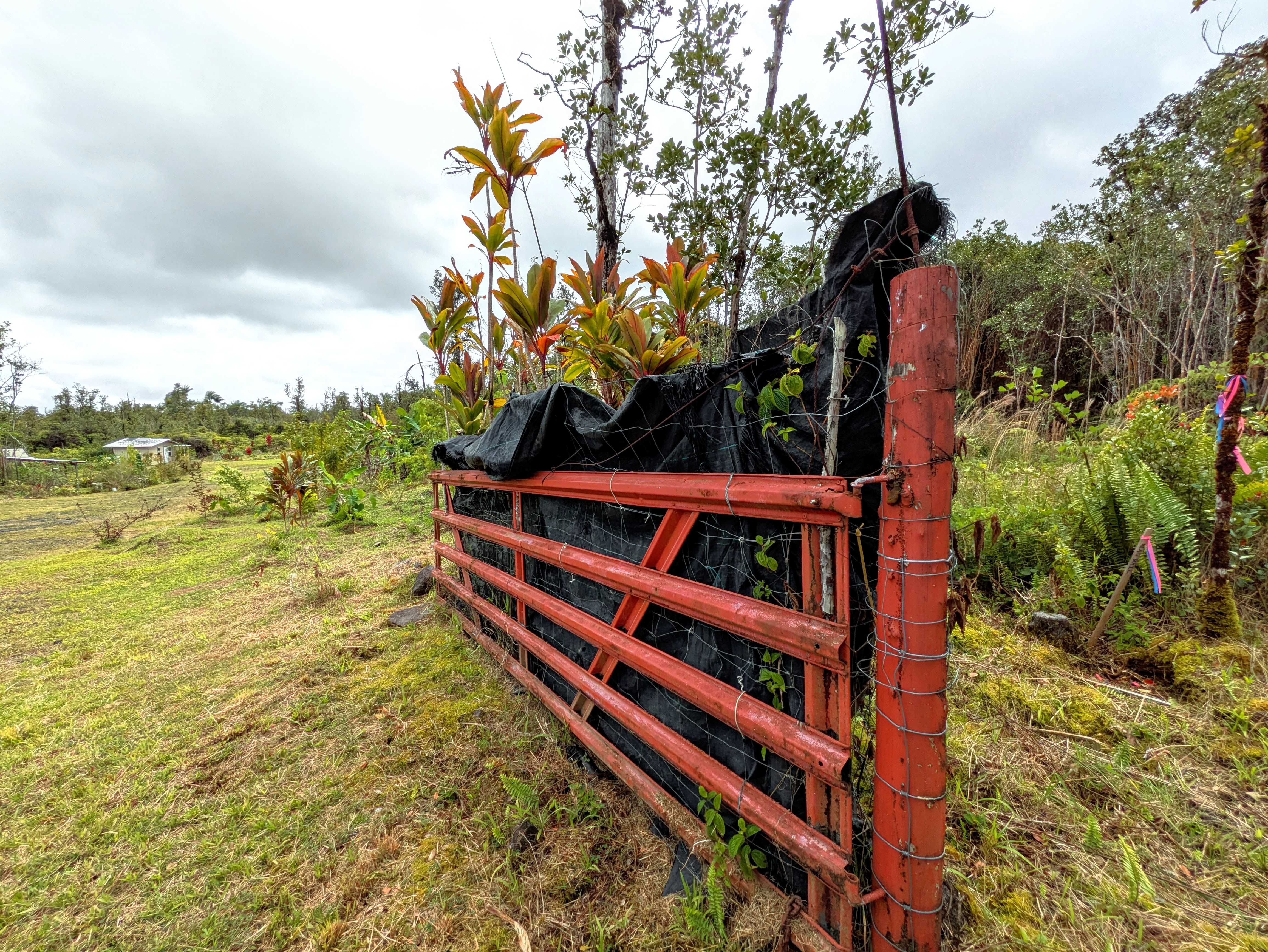 Mountain View, HI 96771,ULEI ST