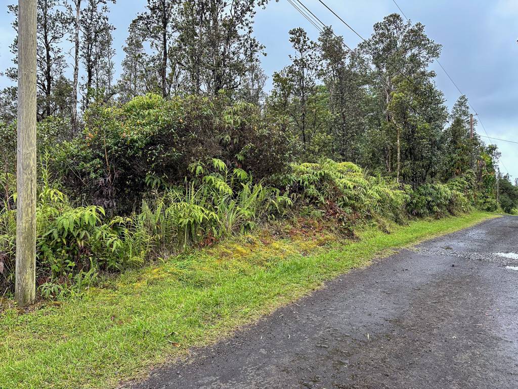 Mountain View, HI 96760,HOPUE RD