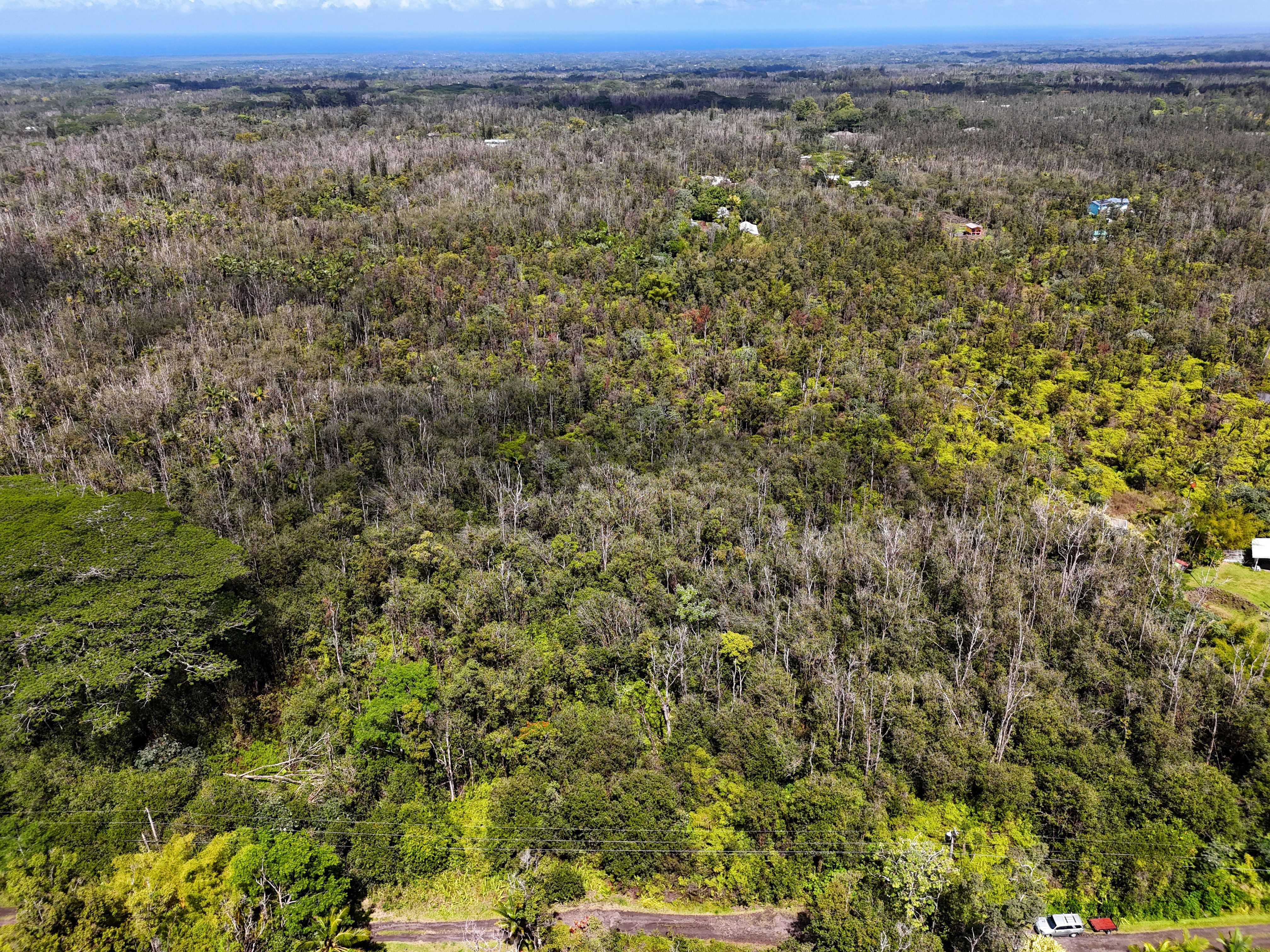 Mountain View, HI 96760,ROAD 4 (IO KEA)