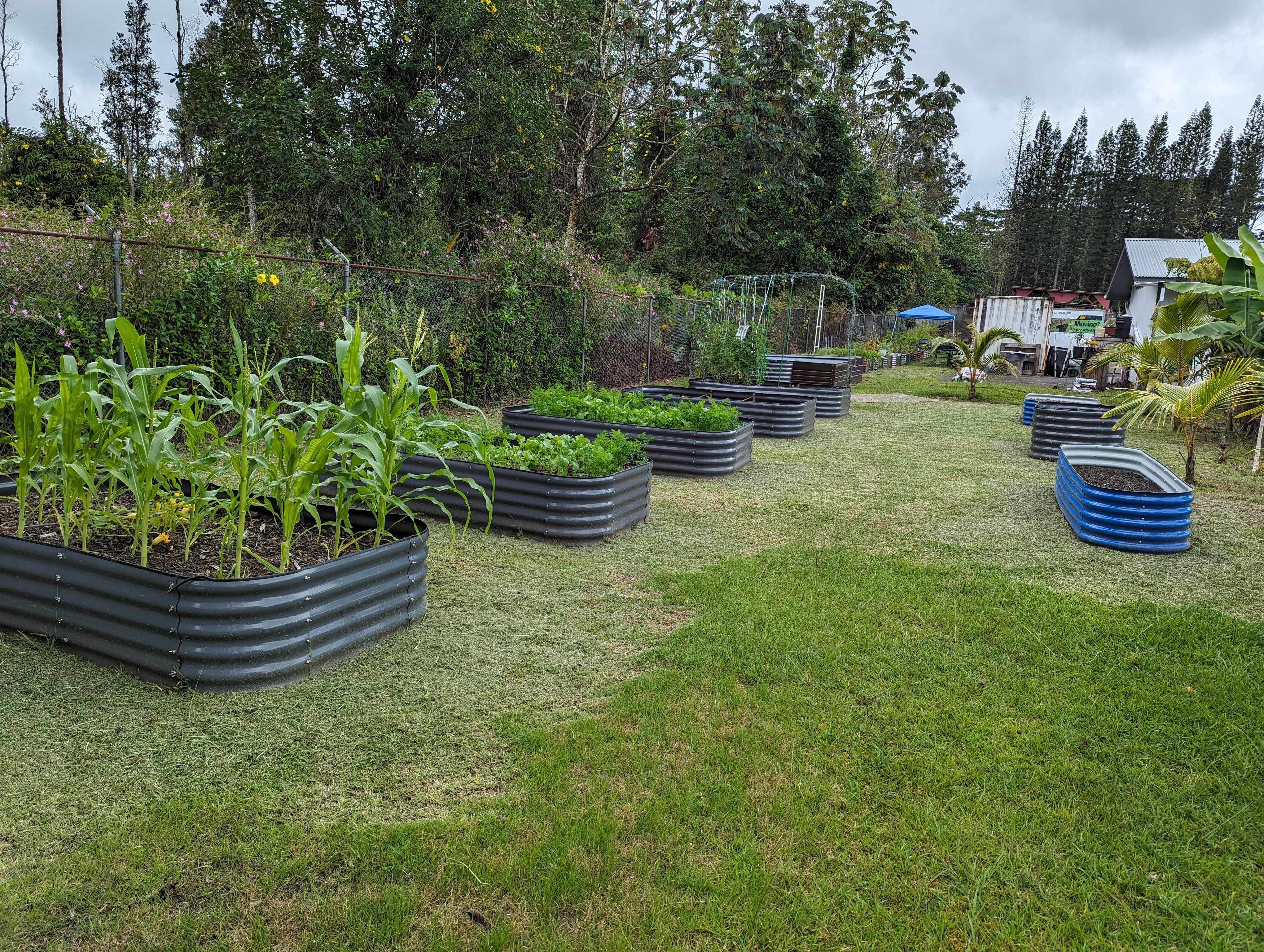 Pahoa, HI 96778,HILO RD