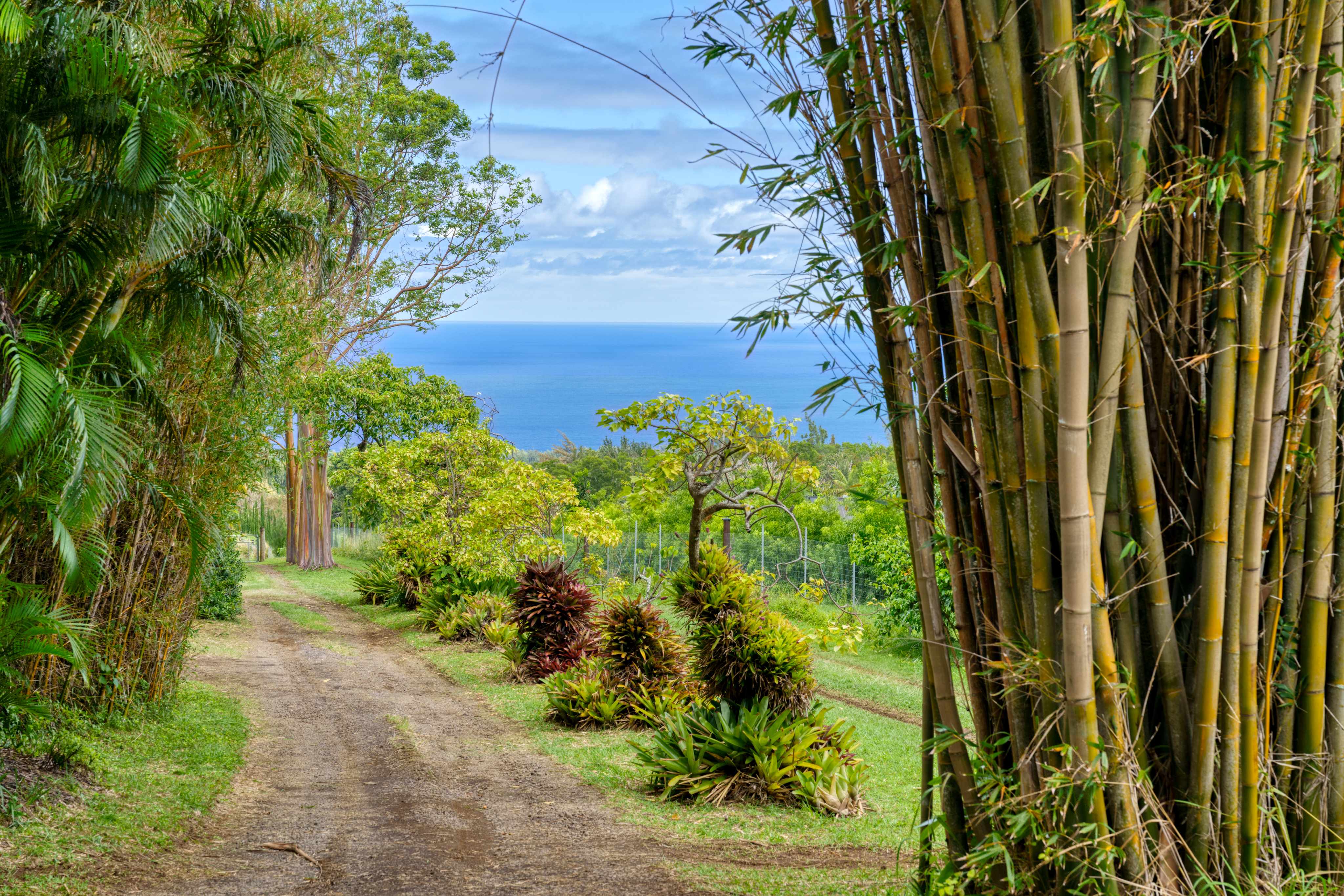 Hawi, HI 96719,55-2251 KYNNERSLEY RD