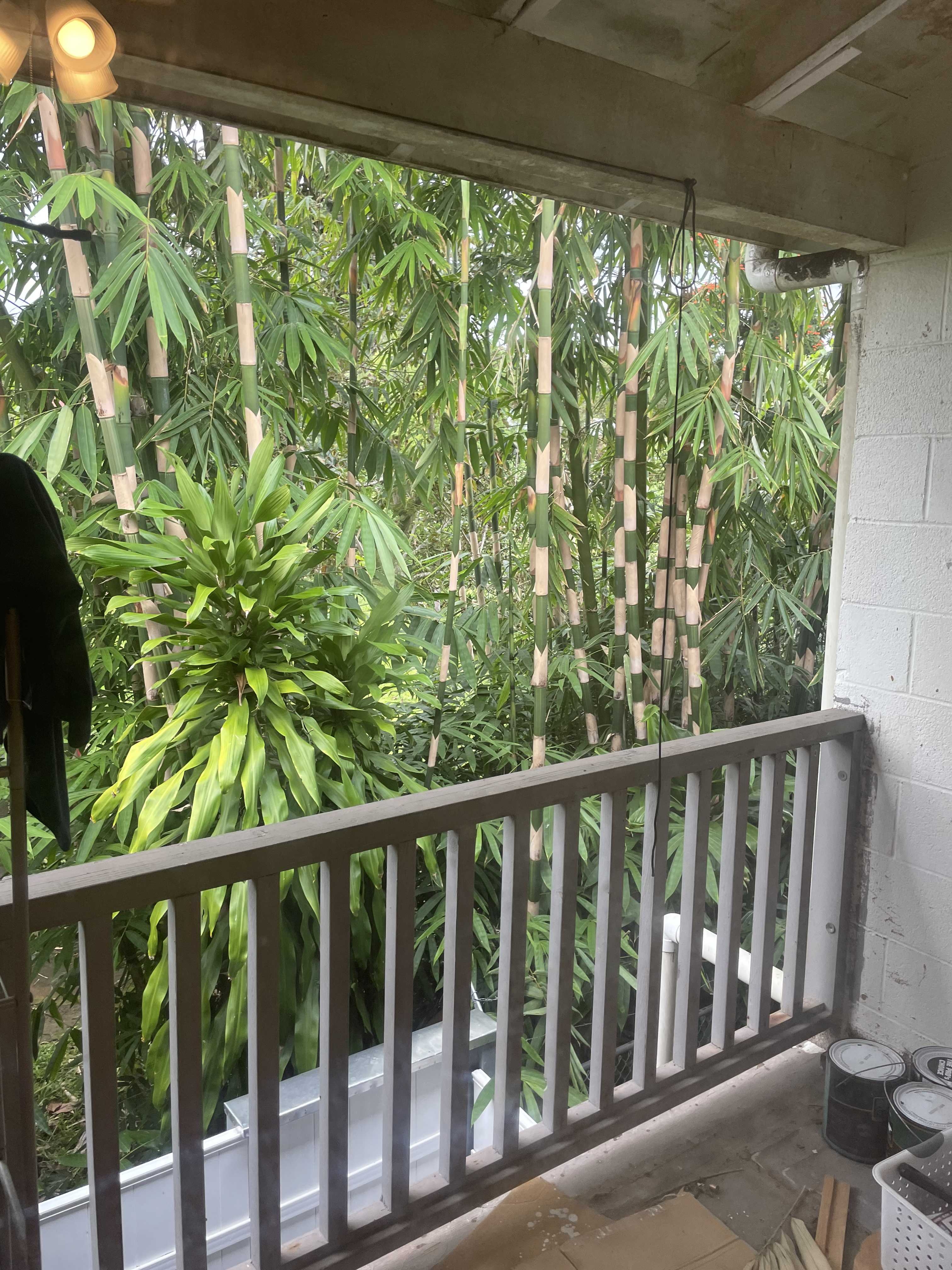 Hilo, HI 96720,322 OHAI ST #16