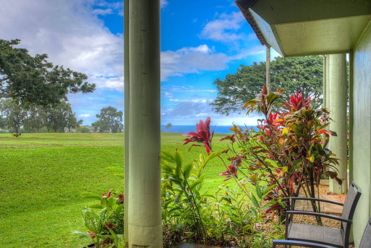 Princeville, HI 96722,3880 WYLLIE RD #12B