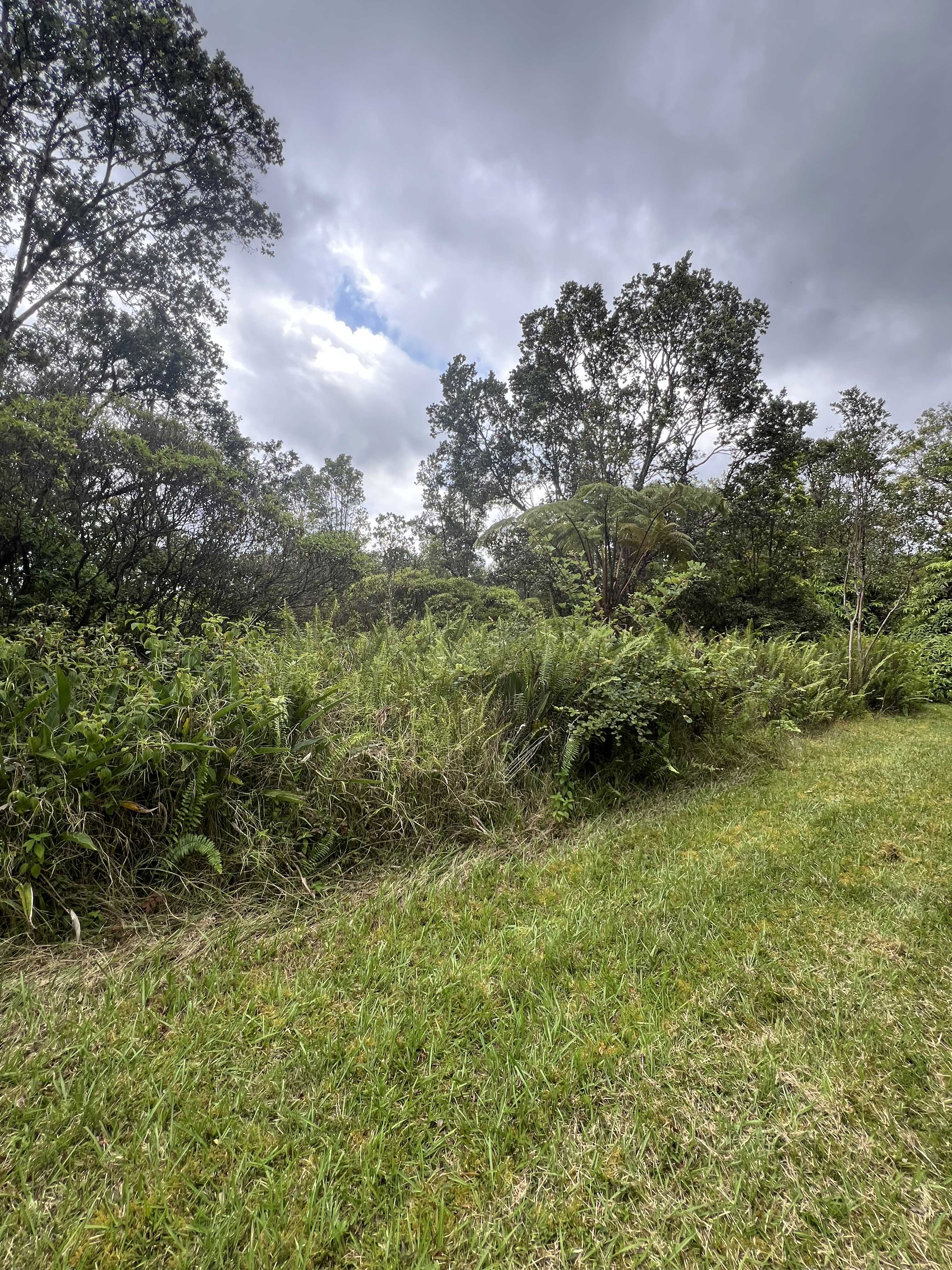 Mountain View, HI 96771,KOLEA ST