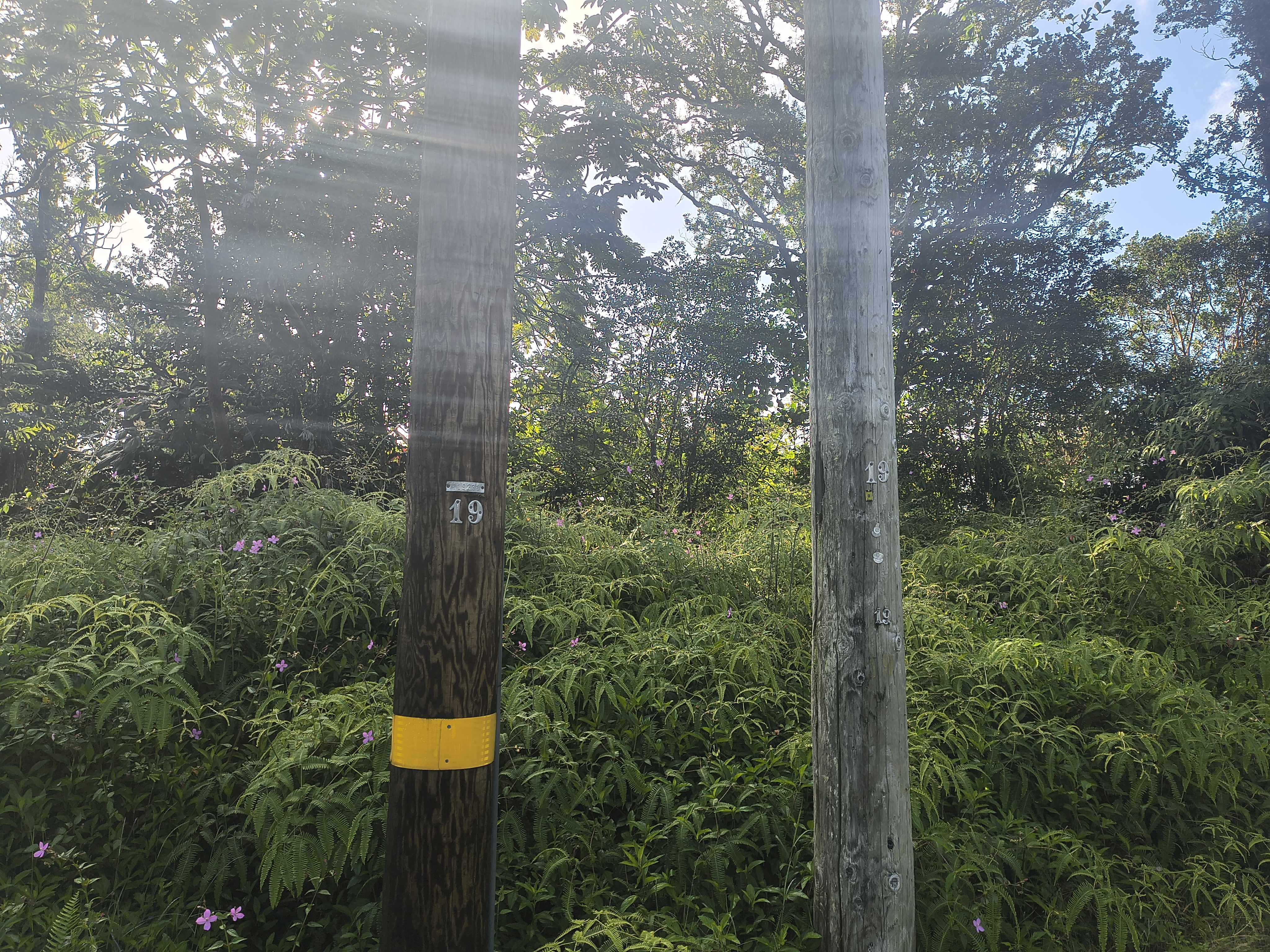 Pahoa, HI 96778,MAILE ST