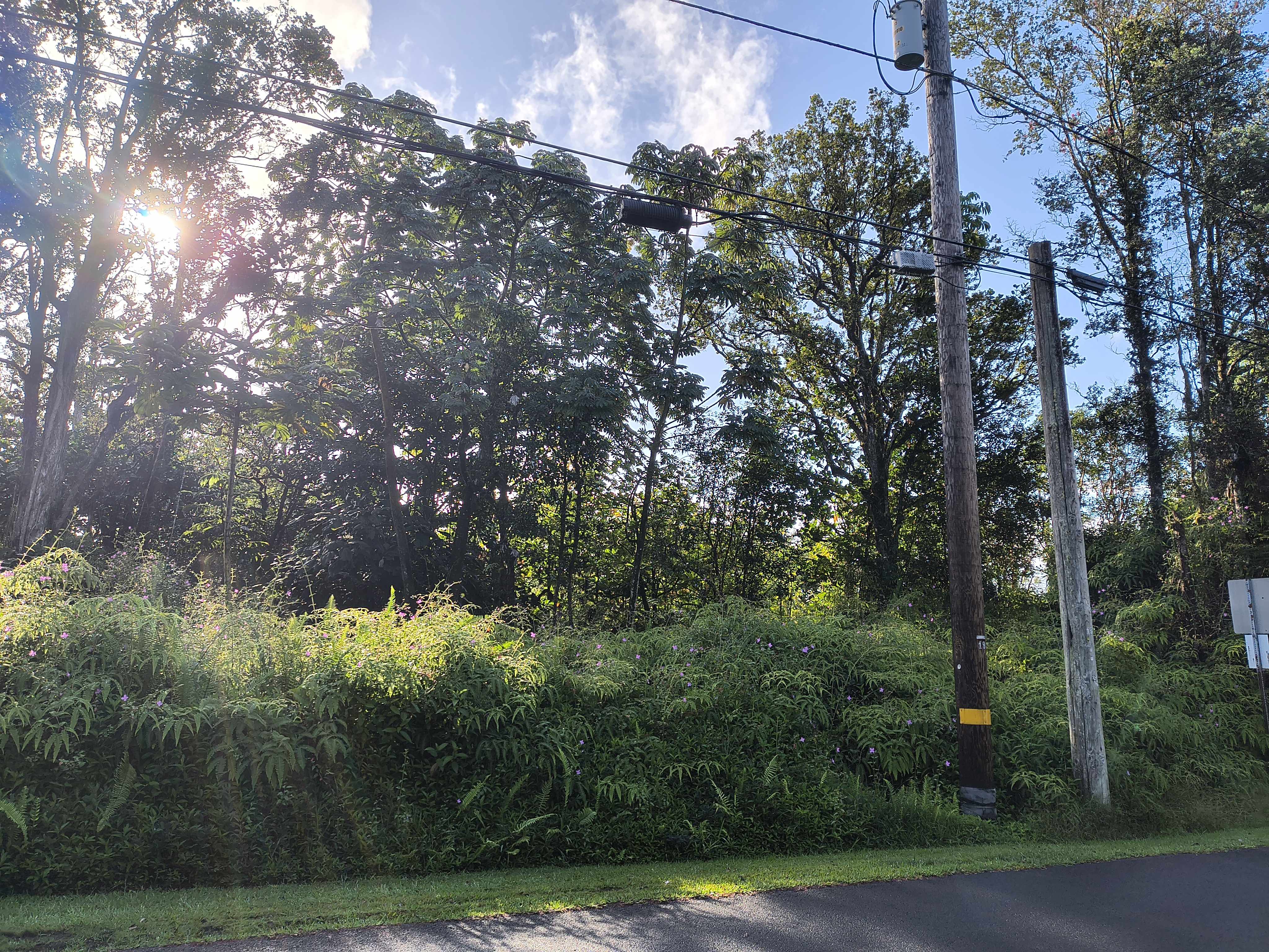 Pahoa, HI 96778,MAILE ST