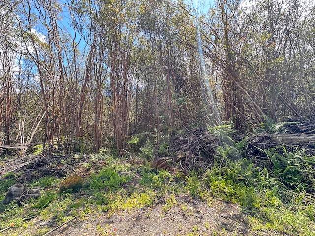 Volcano, HI 96785,KEOLA PL