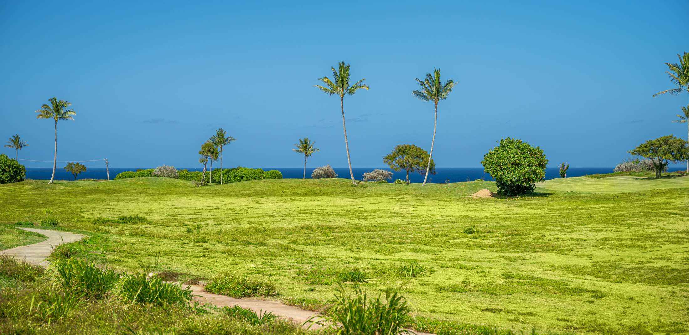 POHAIULA PL, Lihue, HI 96766