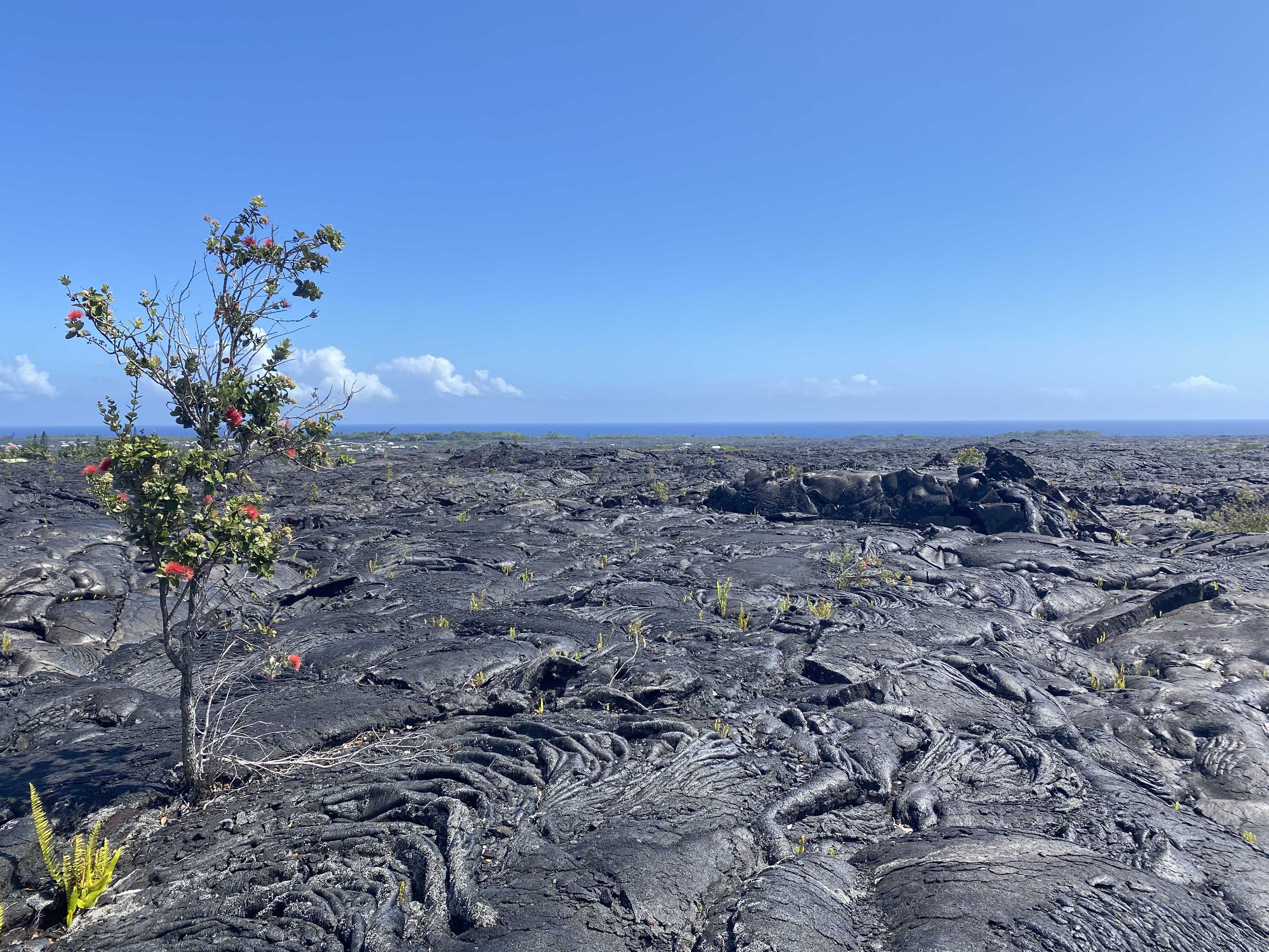 Pahoa, HI 96778,KAIMU-CHAIN OF CRATERS RD