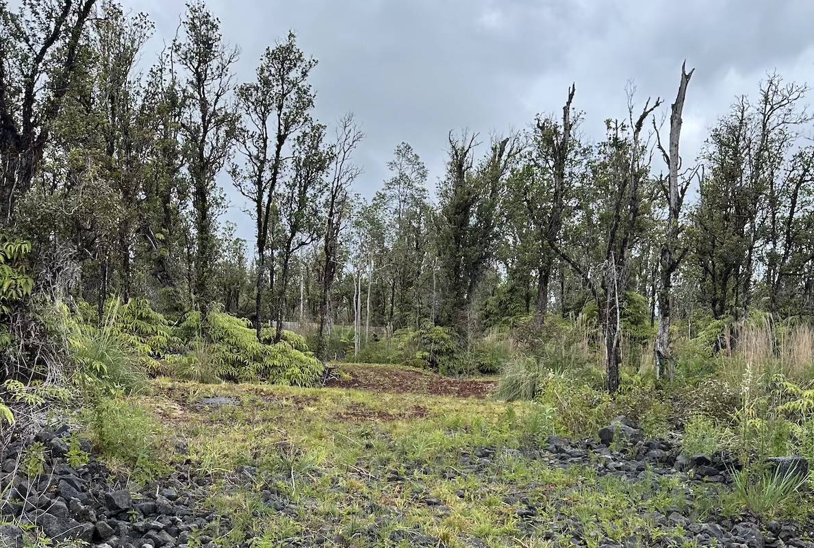 Mountain View, HI 96771,MAHINA ST