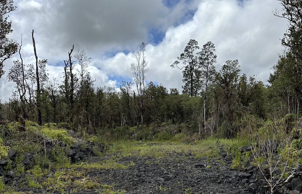 Mountain View, HI 96771,MAHINA ST