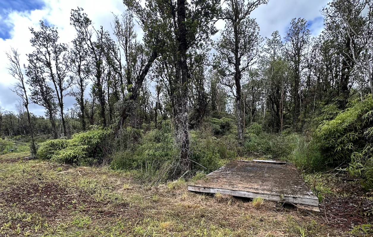 Mountain View, HI 96771,MAHINA ST