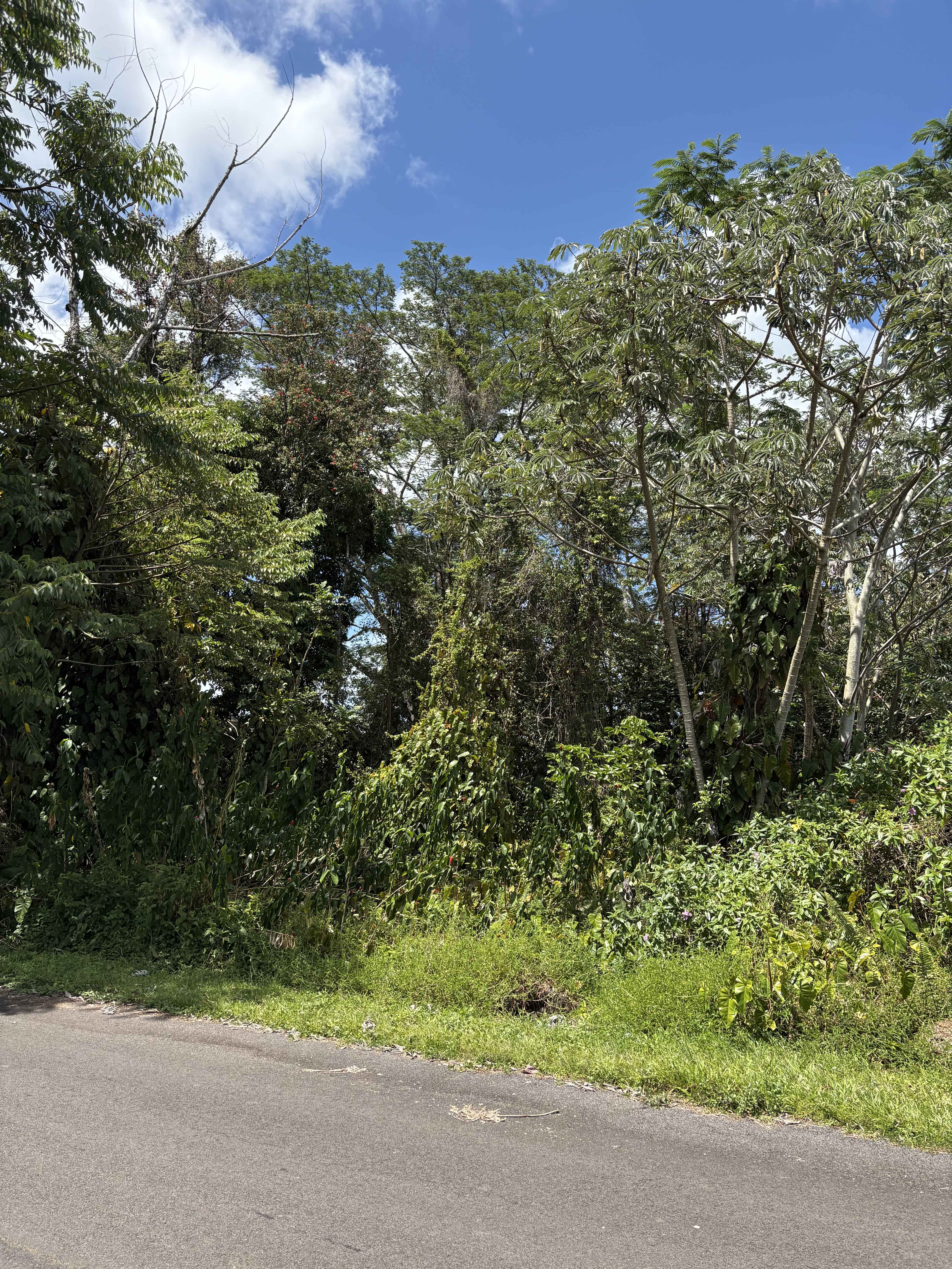 Pahoa, HI 96778,ANTHURIUM DR